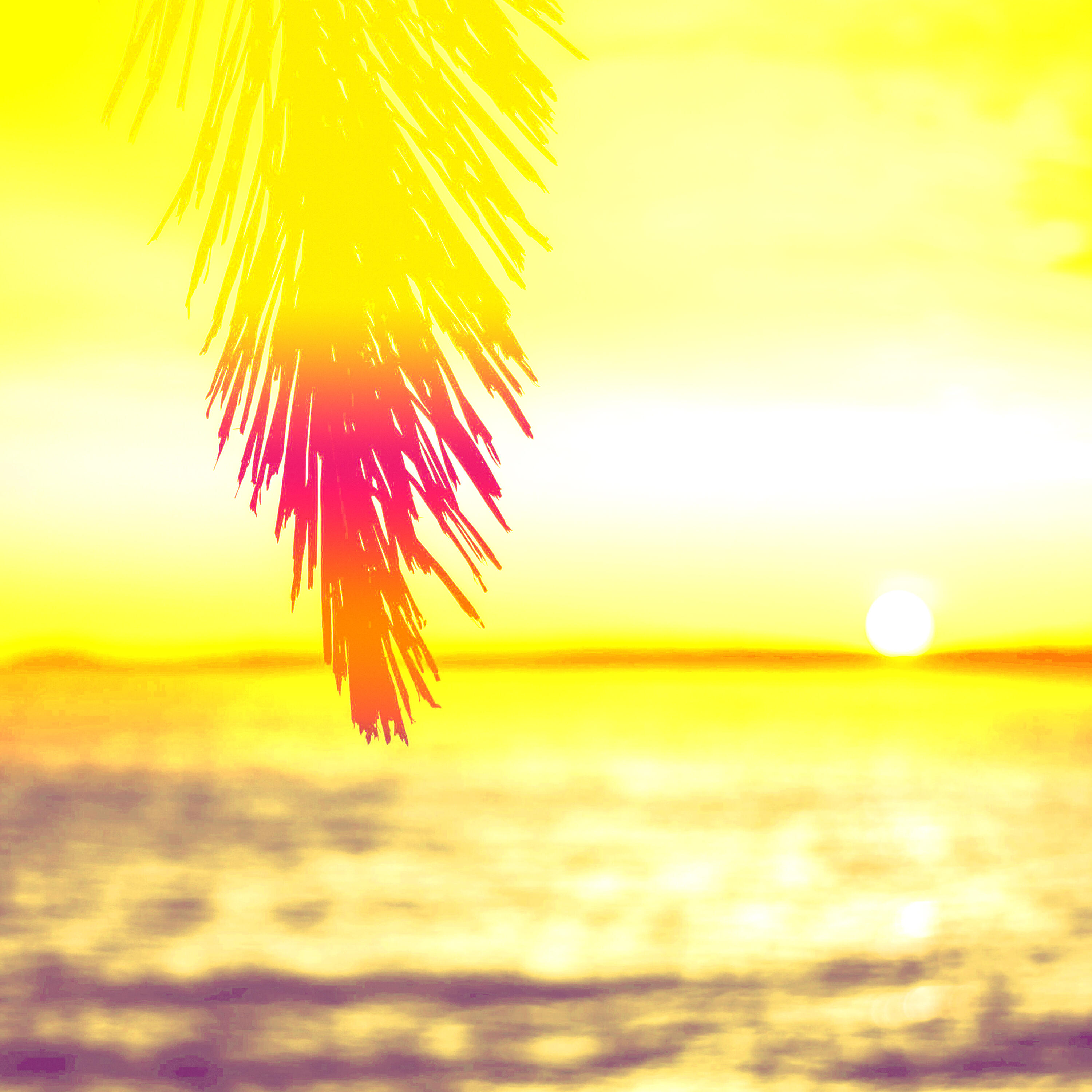 Релиз Sunshine In Bali