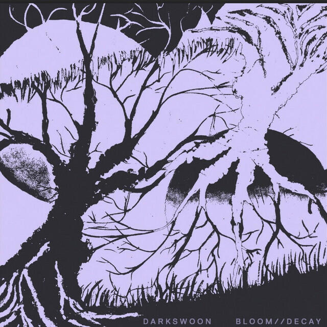 Релиз Bloom Decay