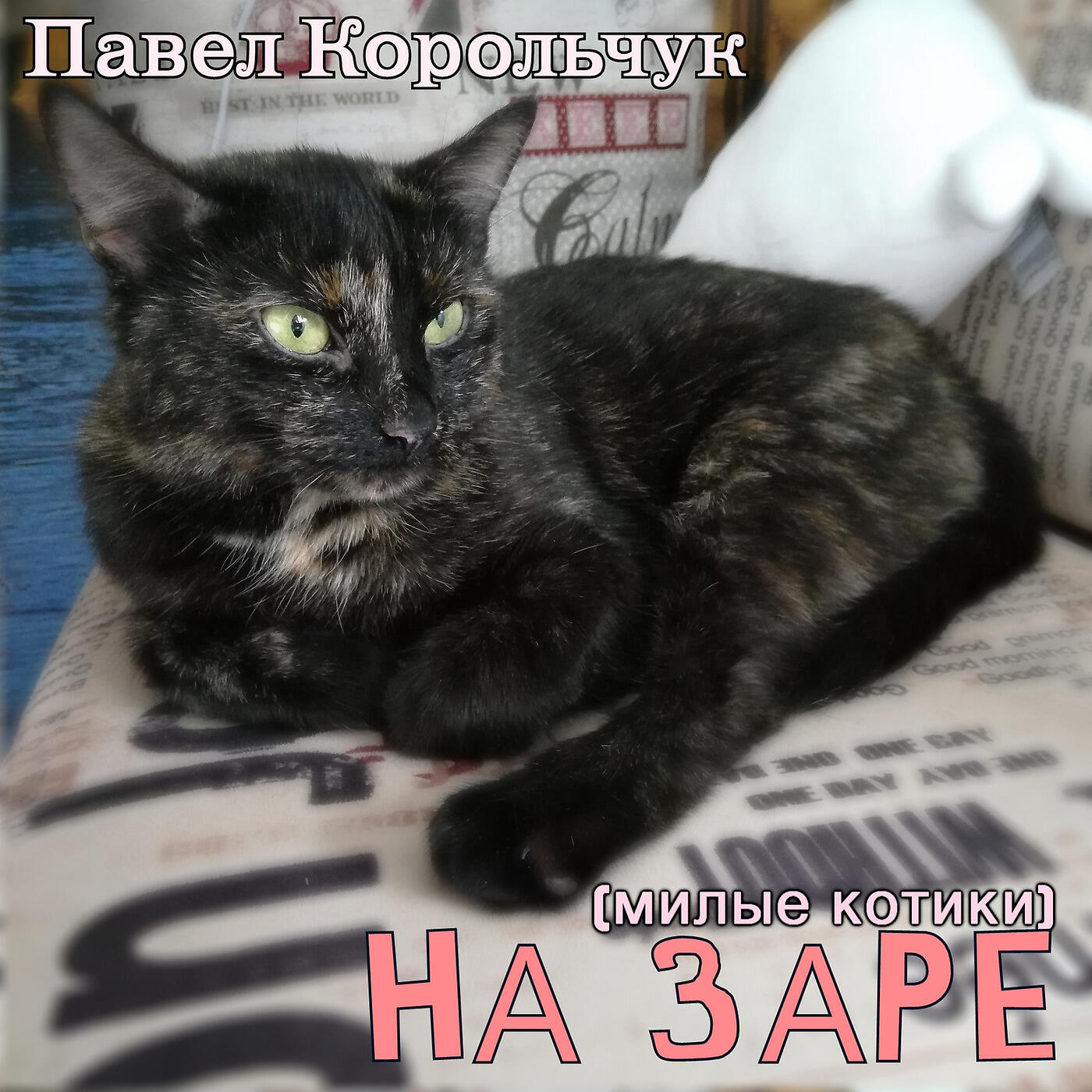 Релиз На заре (милые котики)