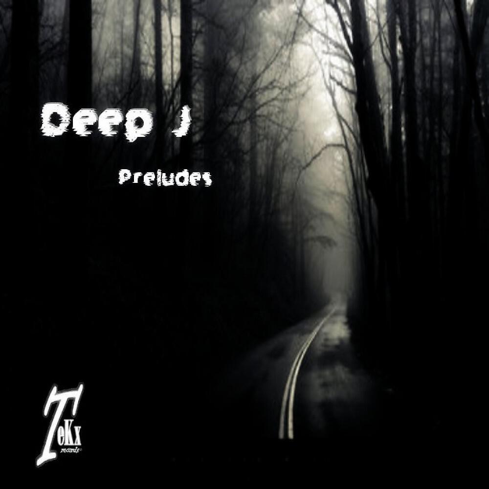 Релиз Preludes
