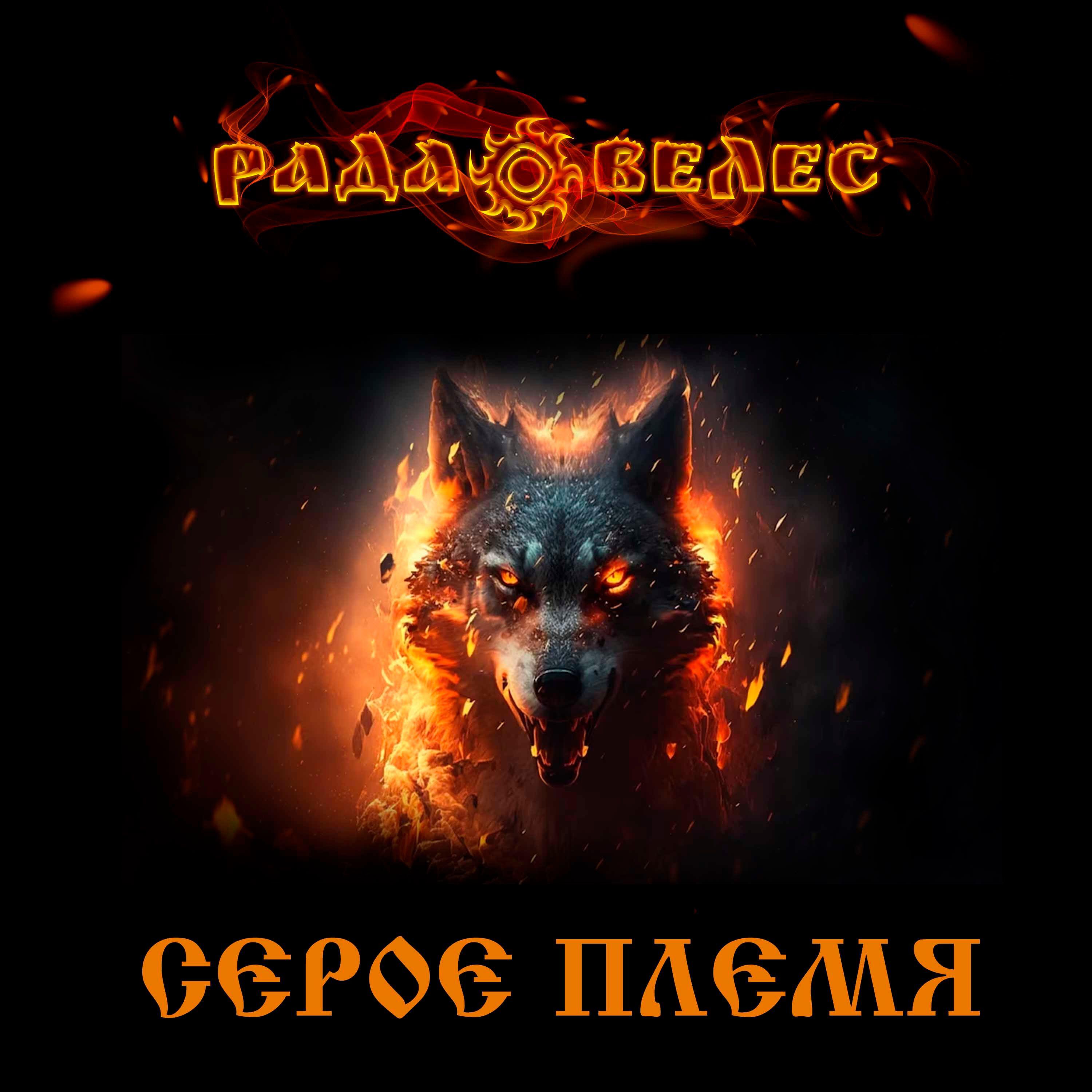 Постер альбома Серое племя