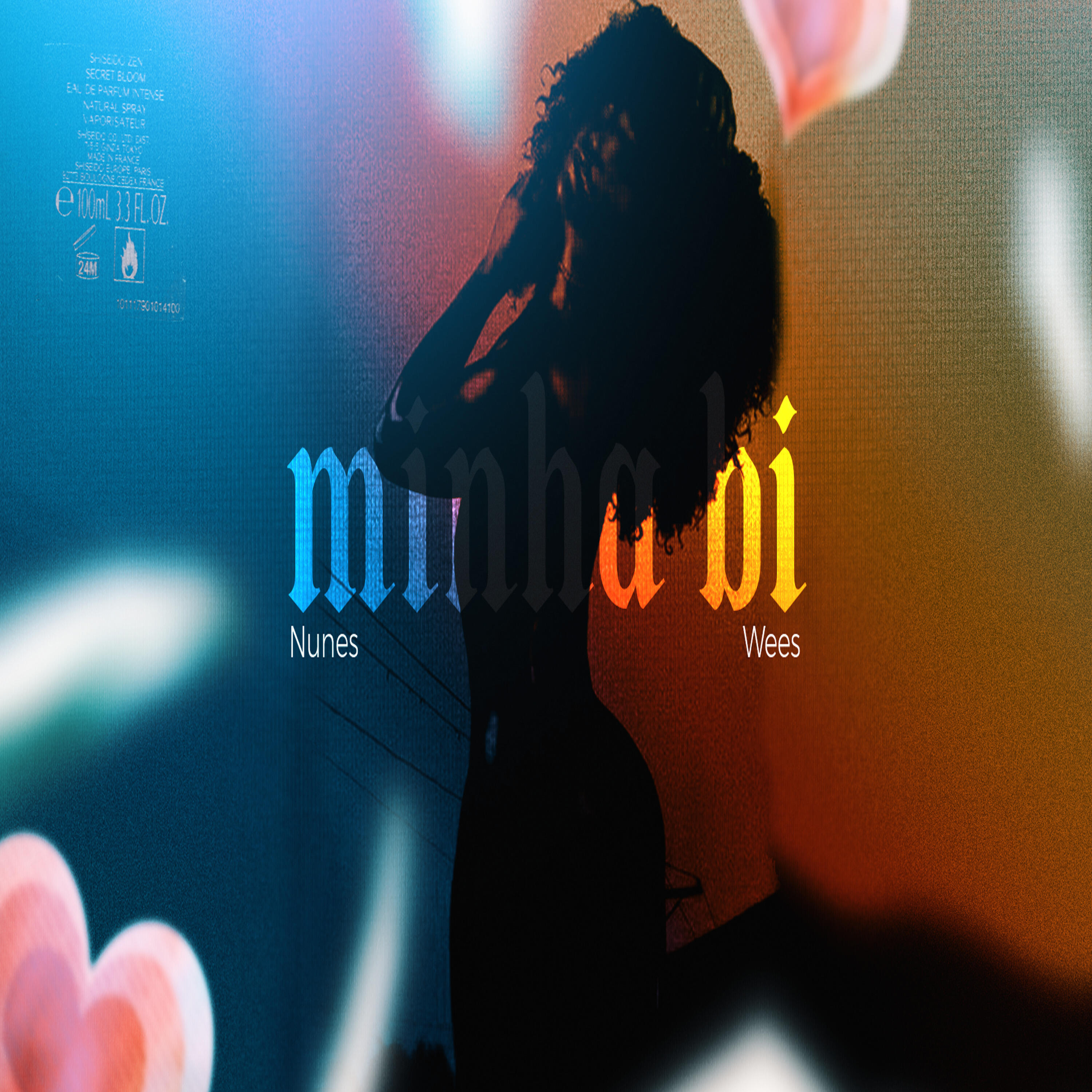 Релиз Minha Bi