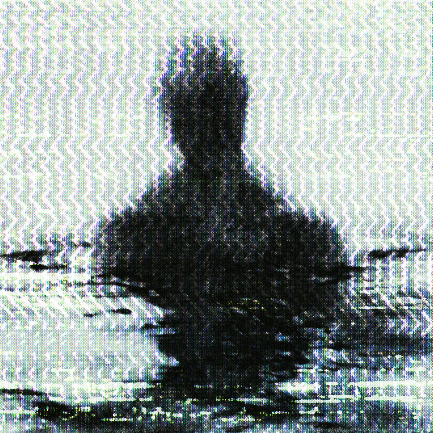 Релиз anybody