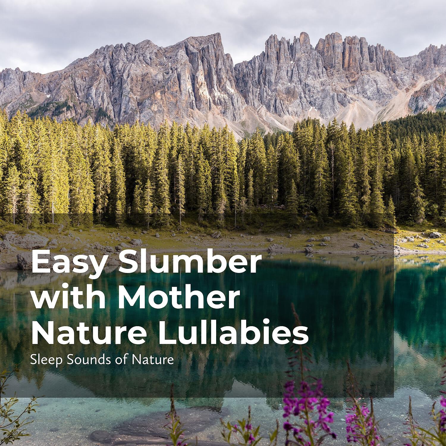Релиз Easy Slumber with Mother Nature Lullabies