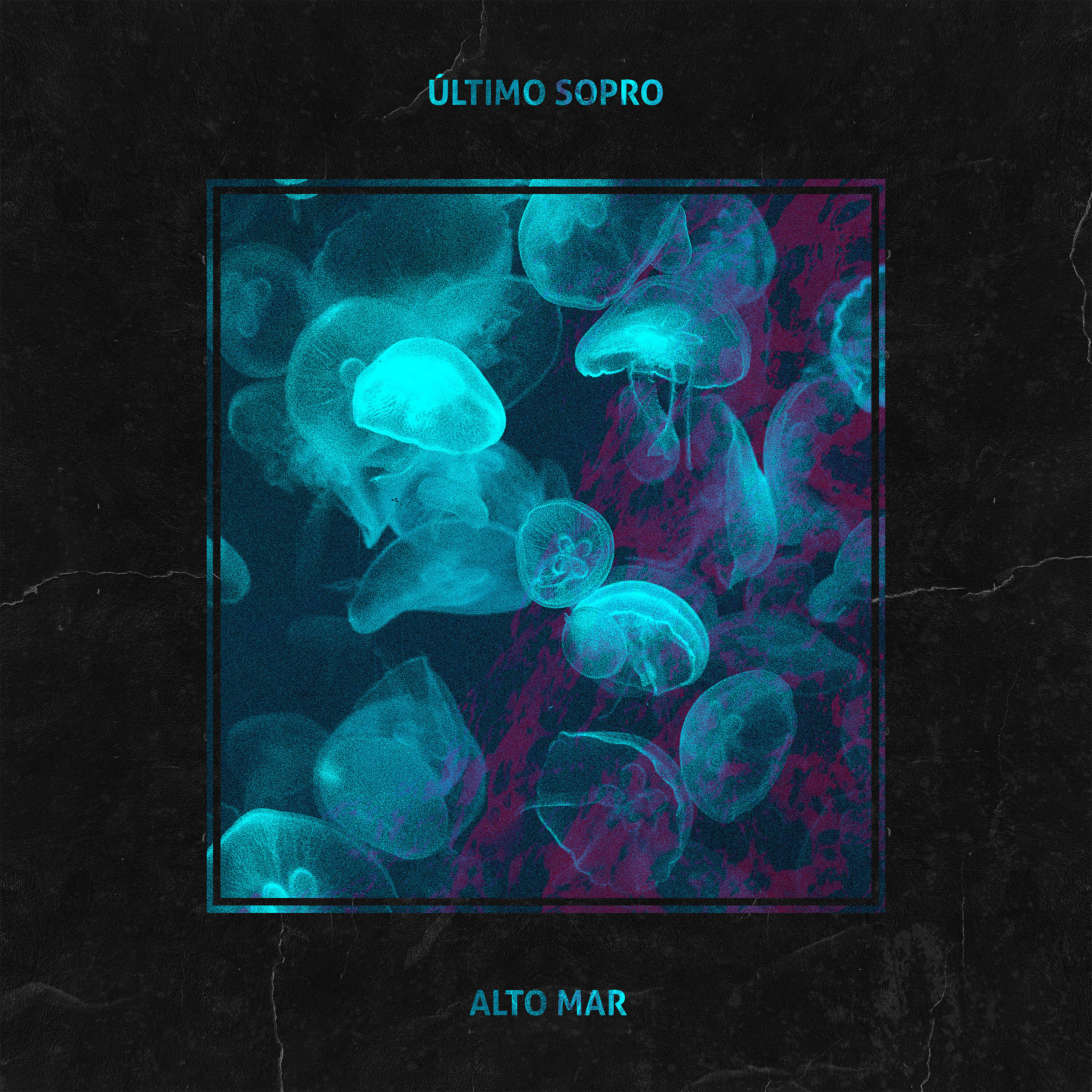 Релиз Alto Mar