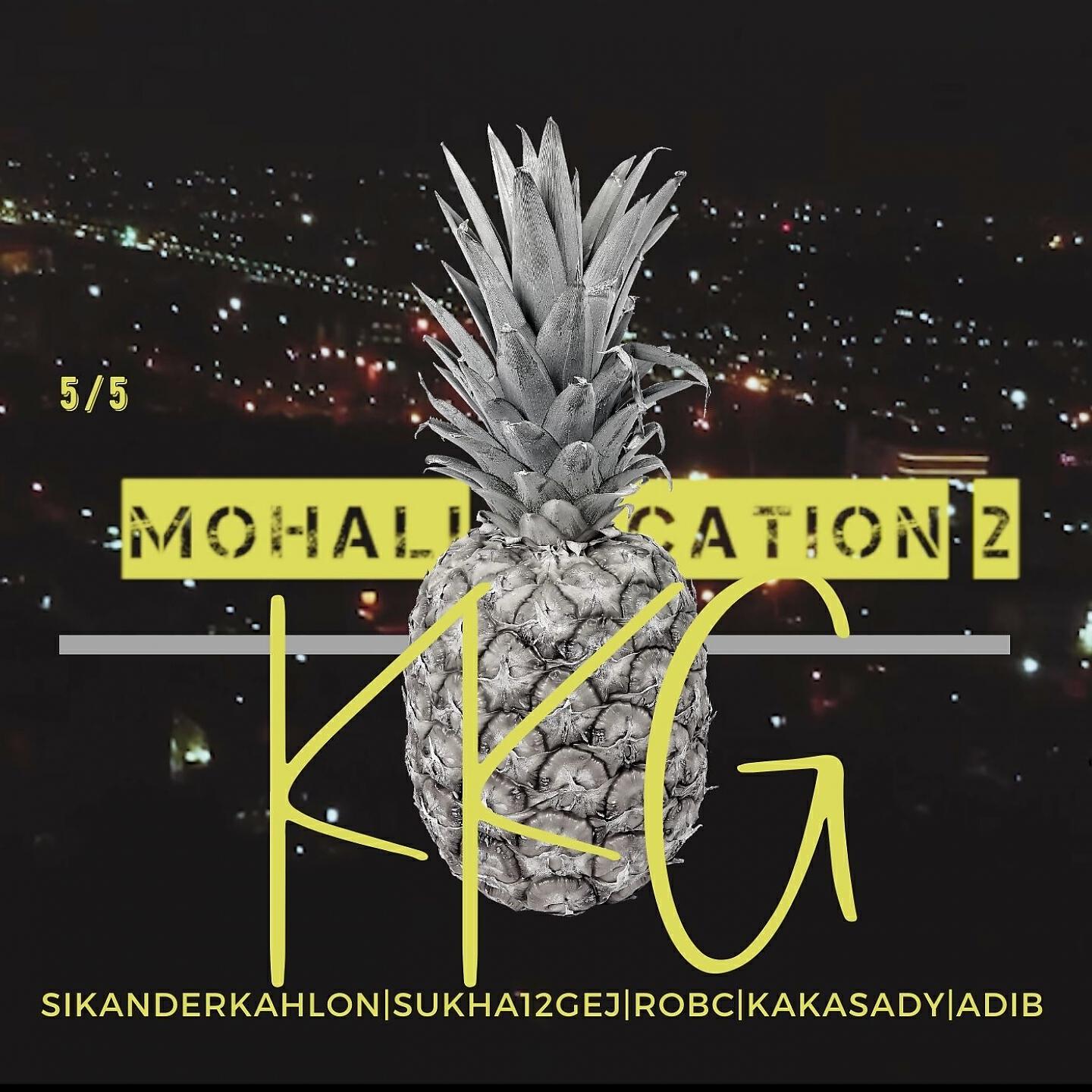 Релиз Mohali Vacation 2