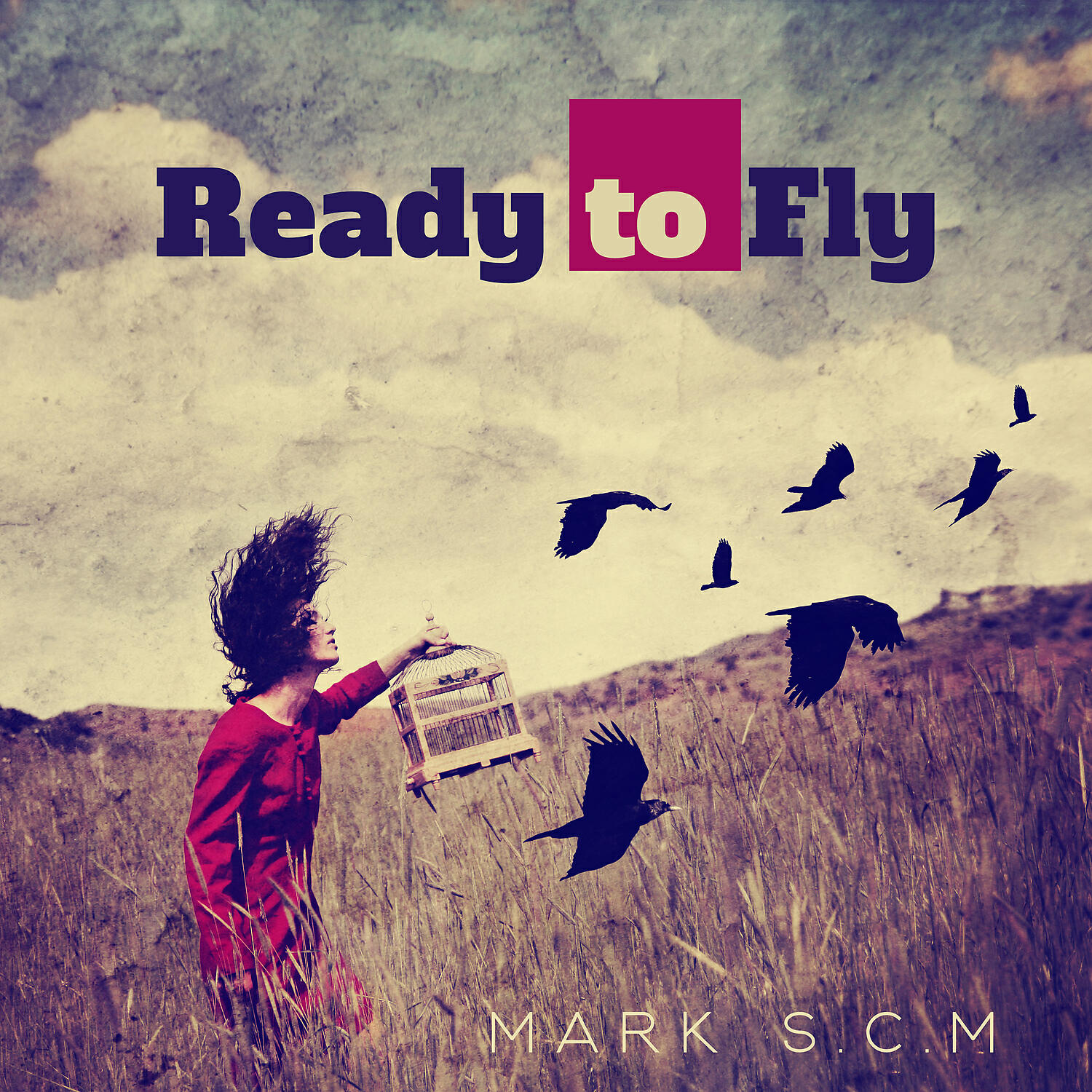 Релиз Ready to Fly