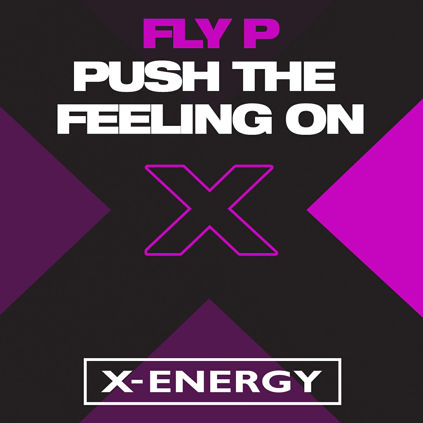 Fly P