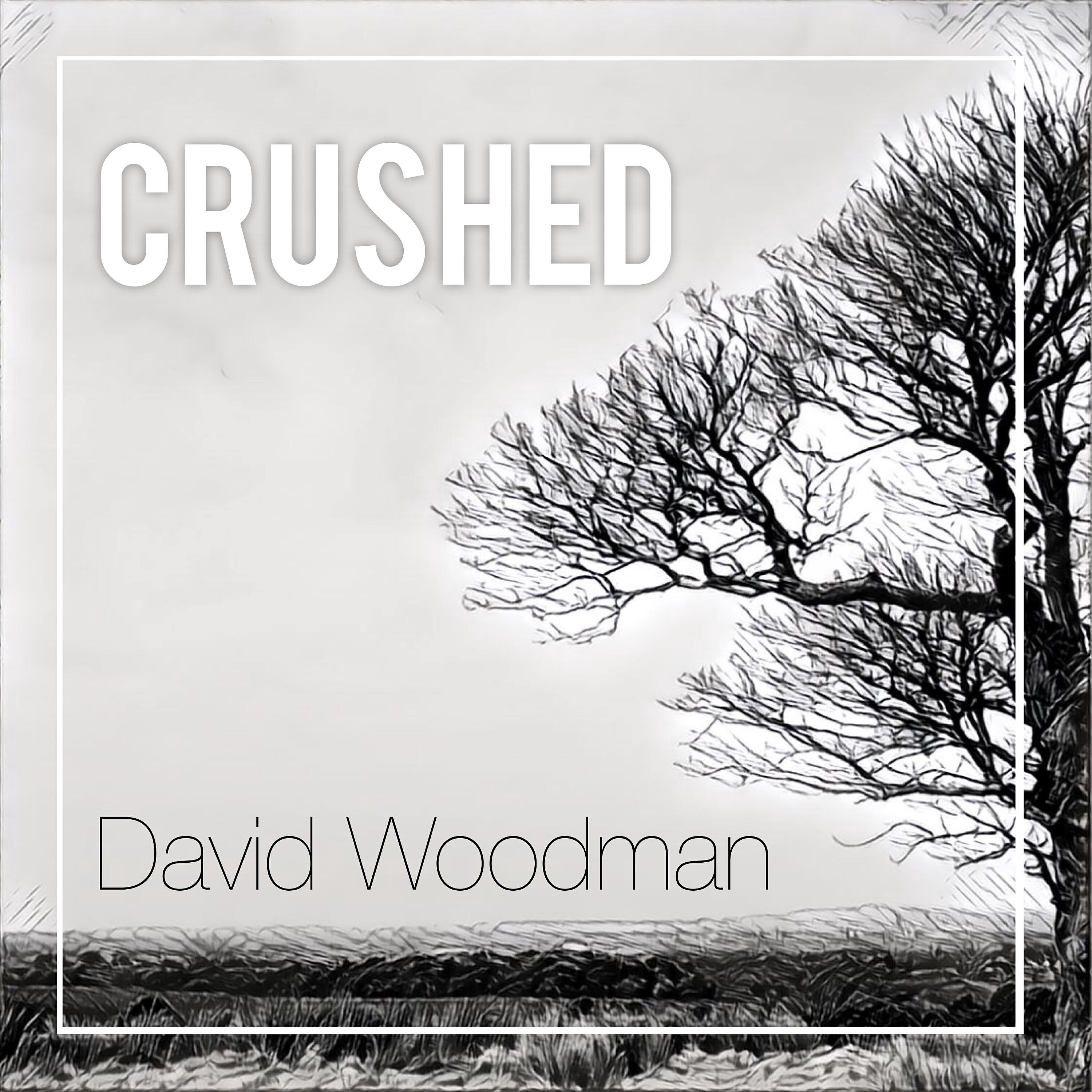 Релиз Crushed