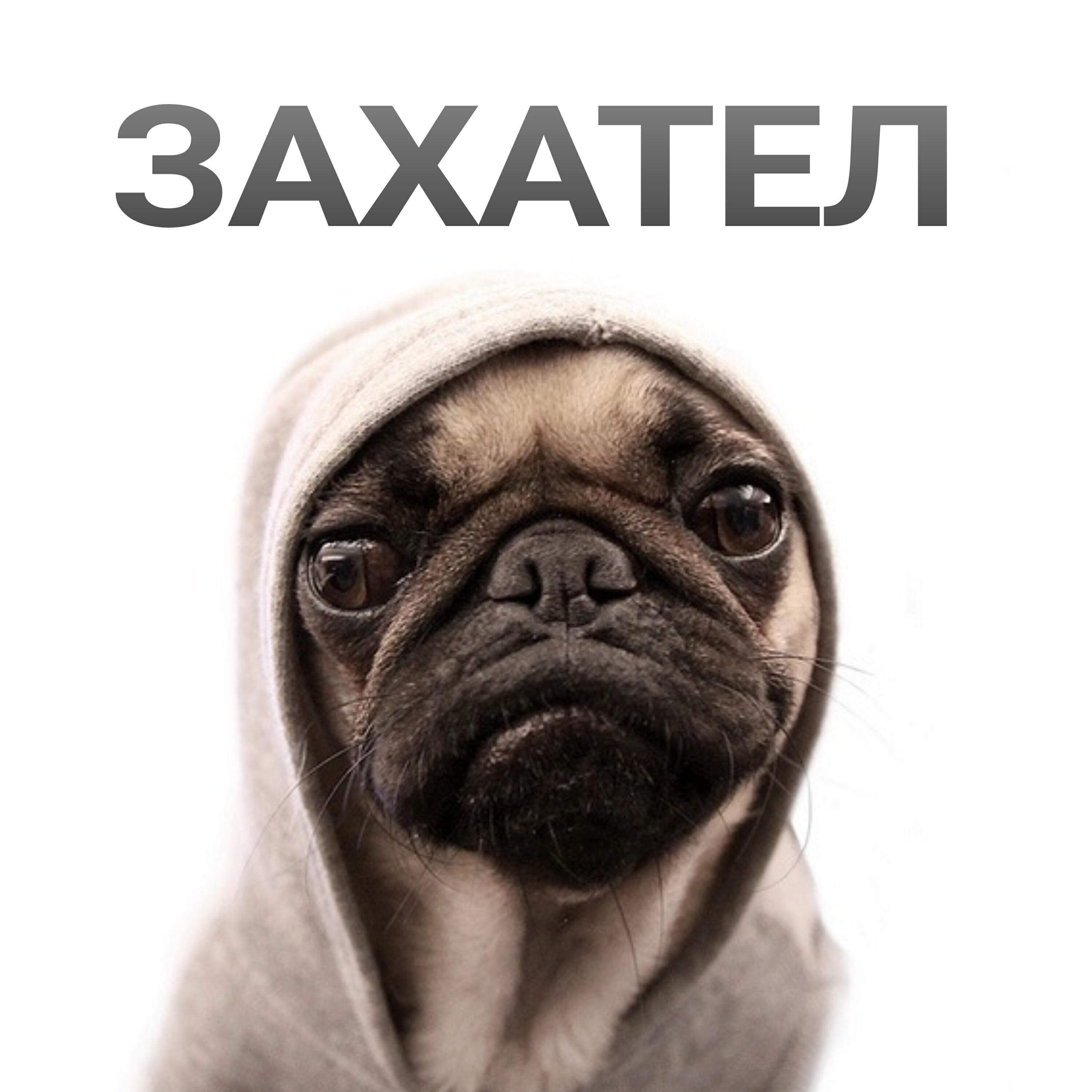 Релиз ЗАХАТЕЛ