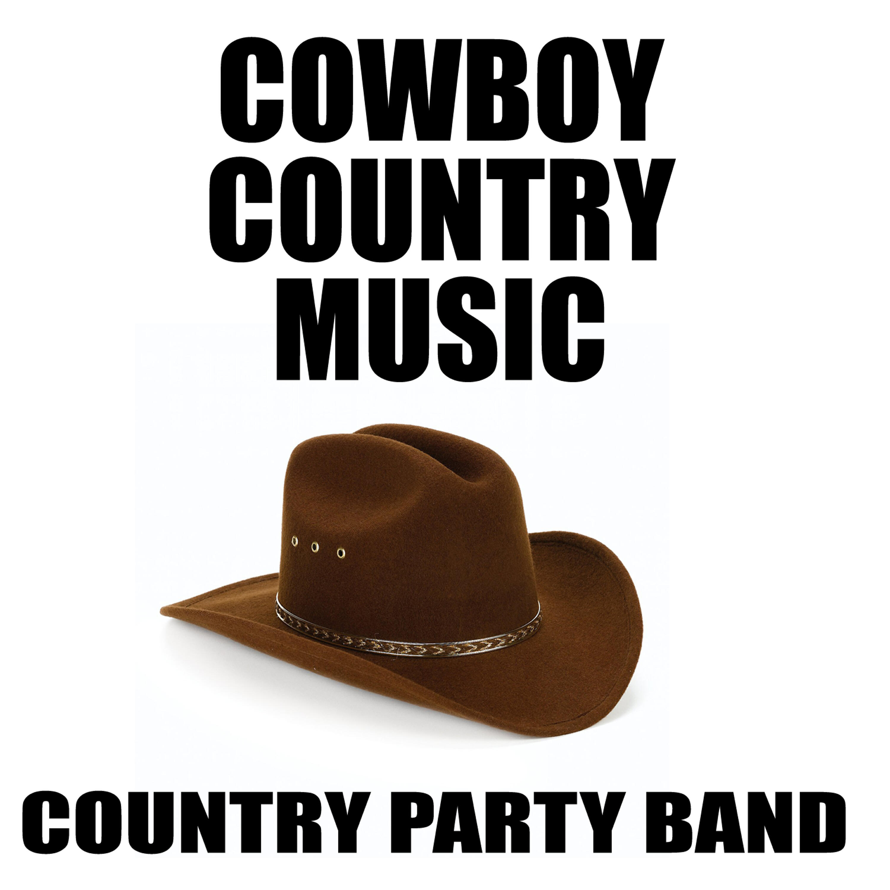 Постер альбома Cowboy Country Music