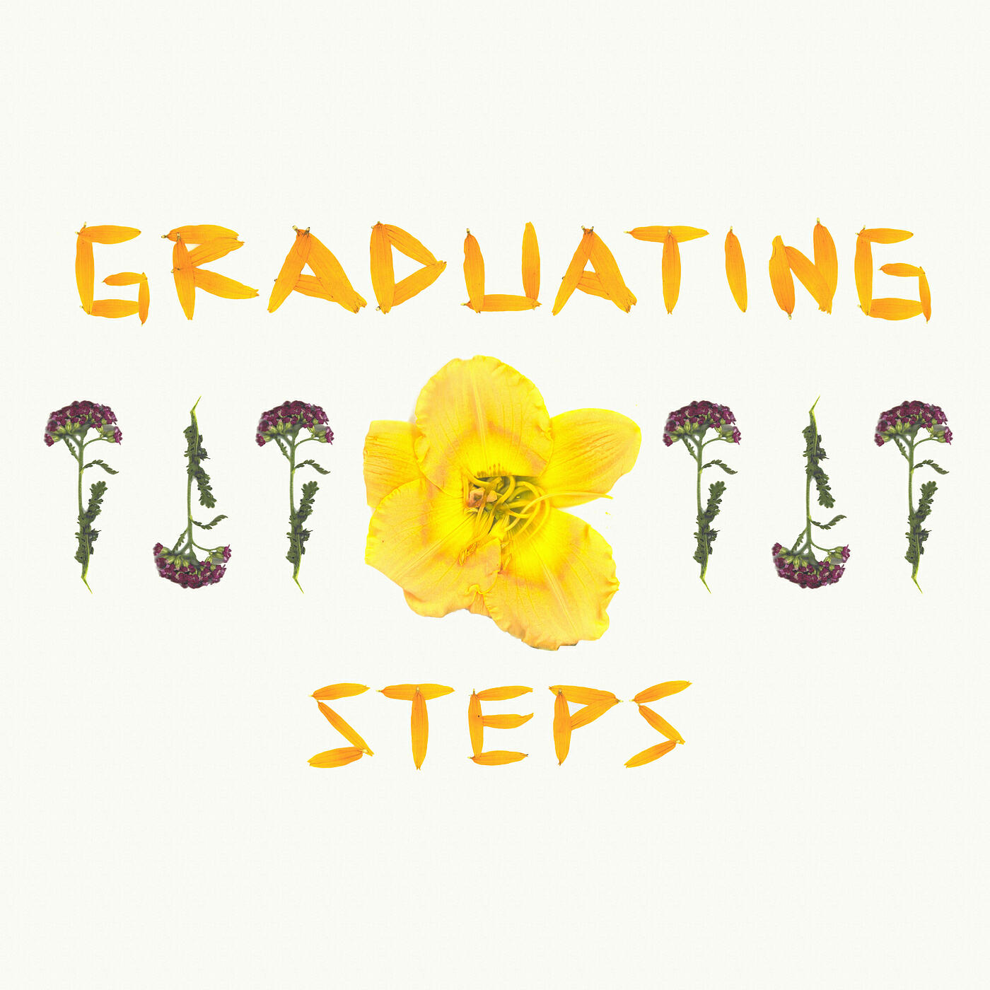 Релиз Graduating Steps