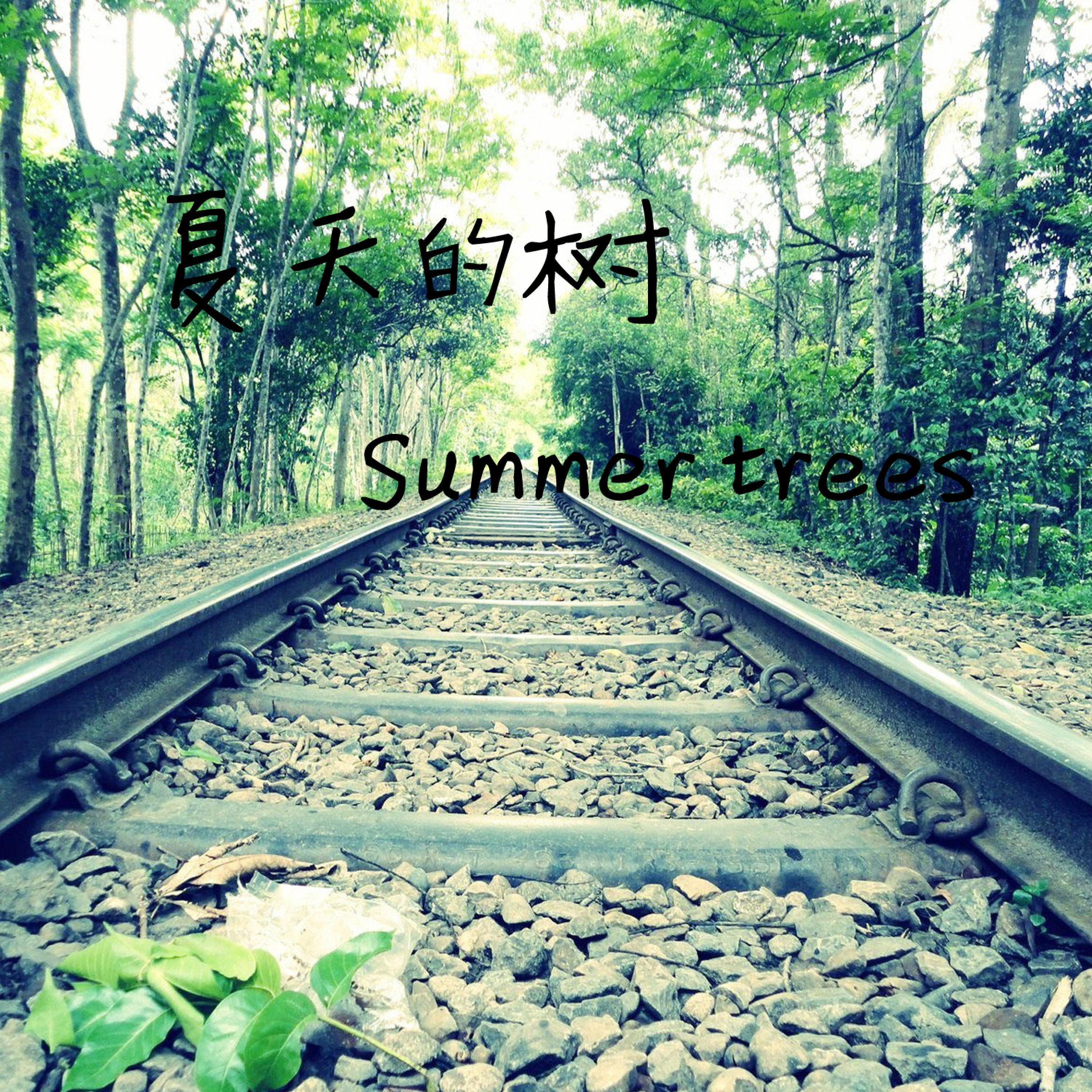 Релиз 夏天的树