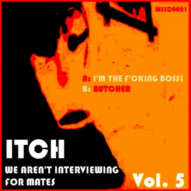 Релиз We Aren't Interviewing For Mates Vol. 5