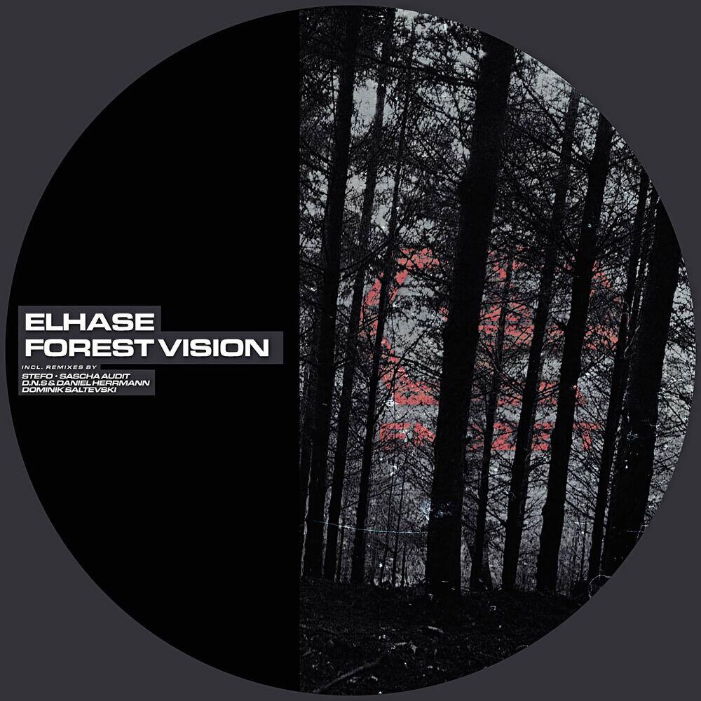 Релиз Forest Vision