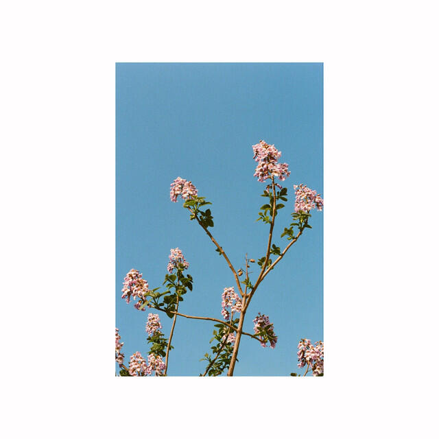 Релиз It's 5pm
