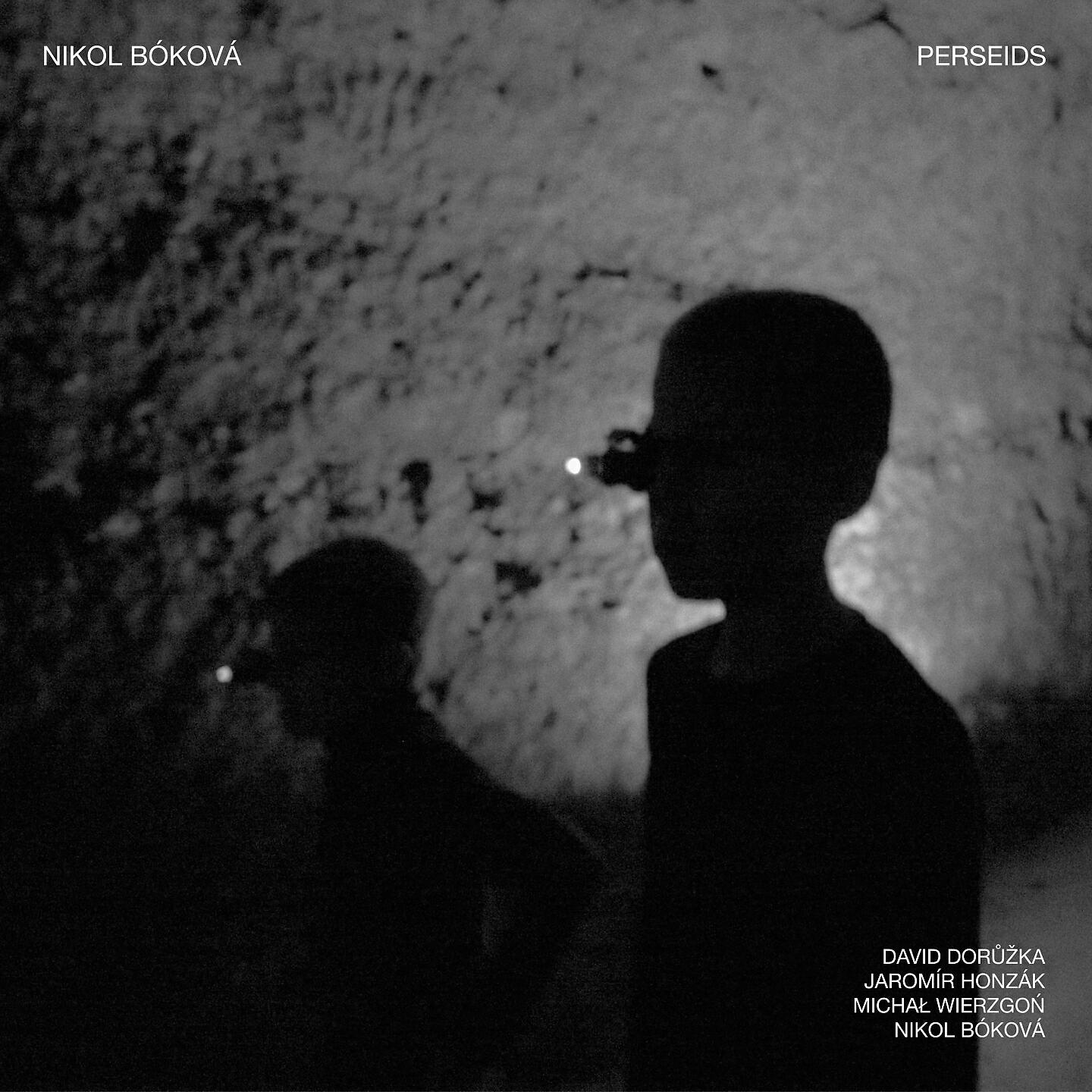 Скачать песню Nikol Bóková, Radek Baborák, David Doruzka, Jaromír Honzák Quintet, Michal Wierzgoń - Perseids бесплатно в MP3 для Android и iOS