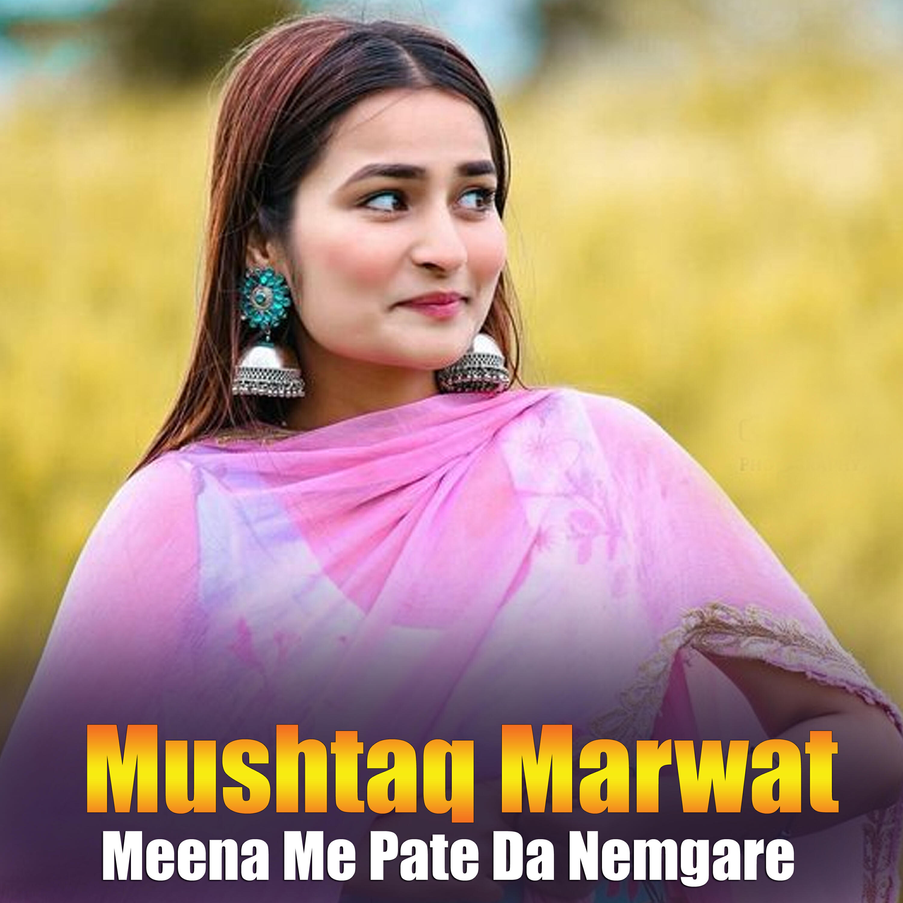 Релиз Meena Me Pate Da Nemgare