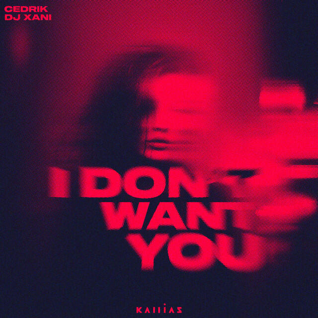 Релиз I Don't Want You