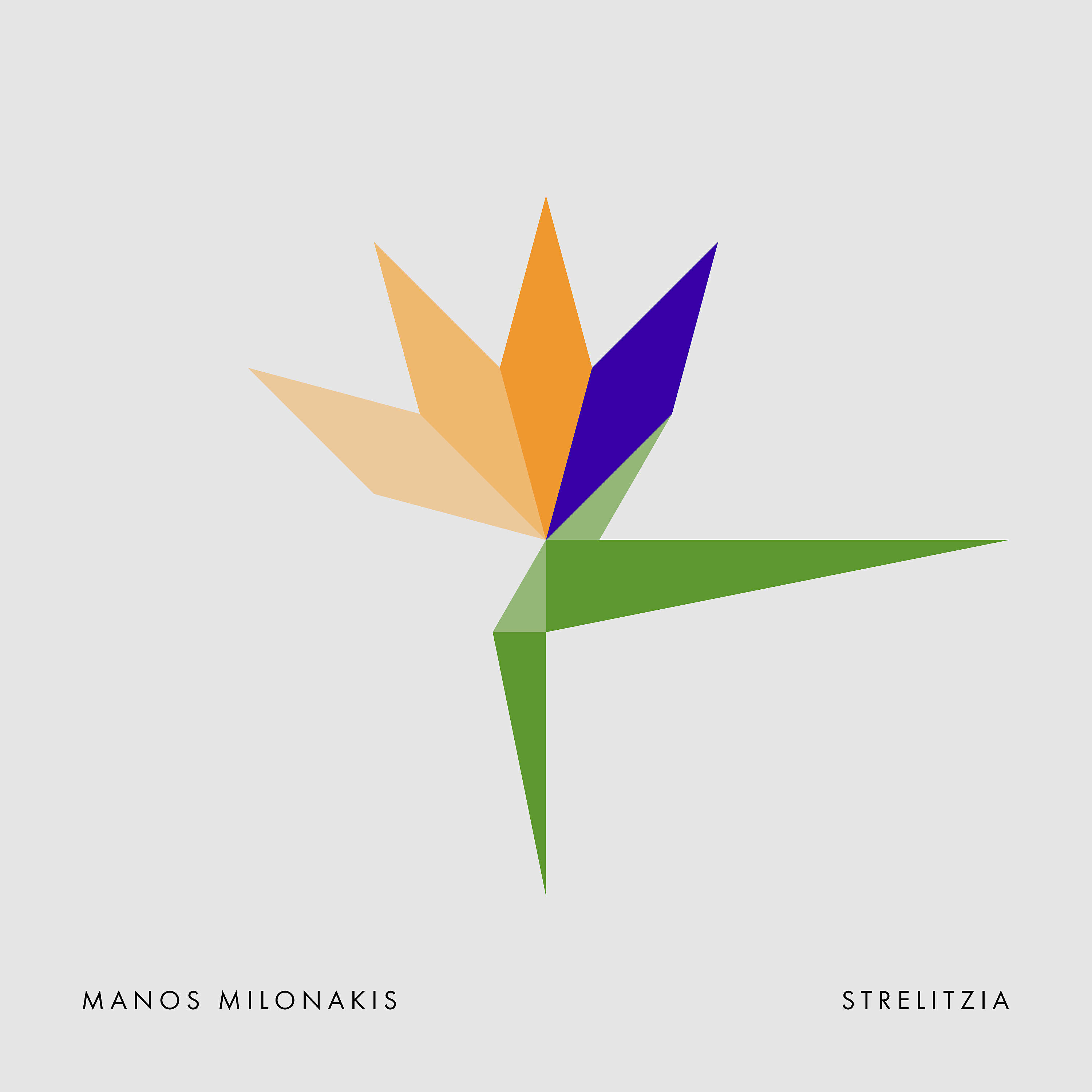 Релиз Strelitzia