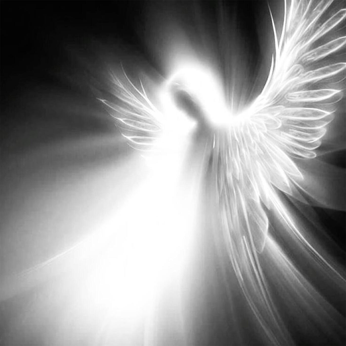 Релиз ANGELIC DREAM