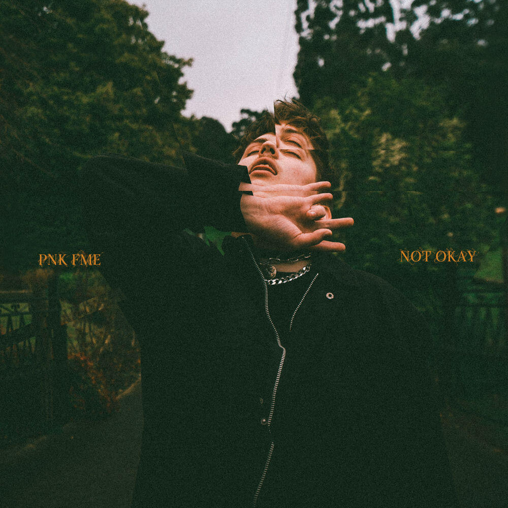 Релиз Not Okay