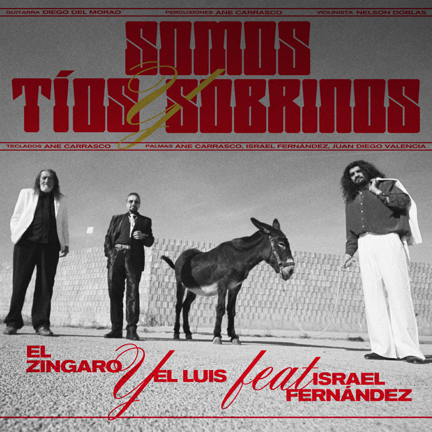 El Zingaro