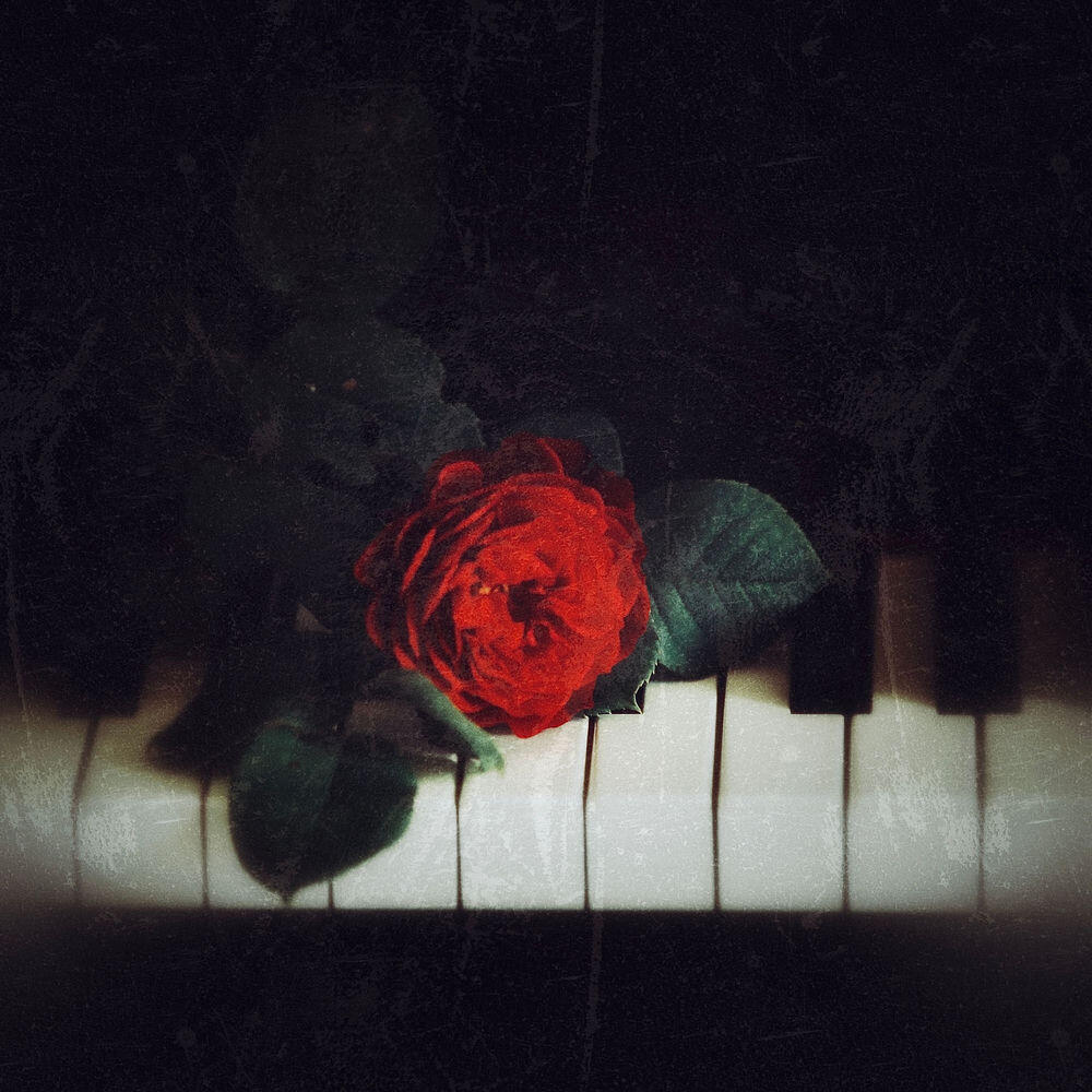 Релиз Nocturne (Op.9 No.2 in E-flat major)