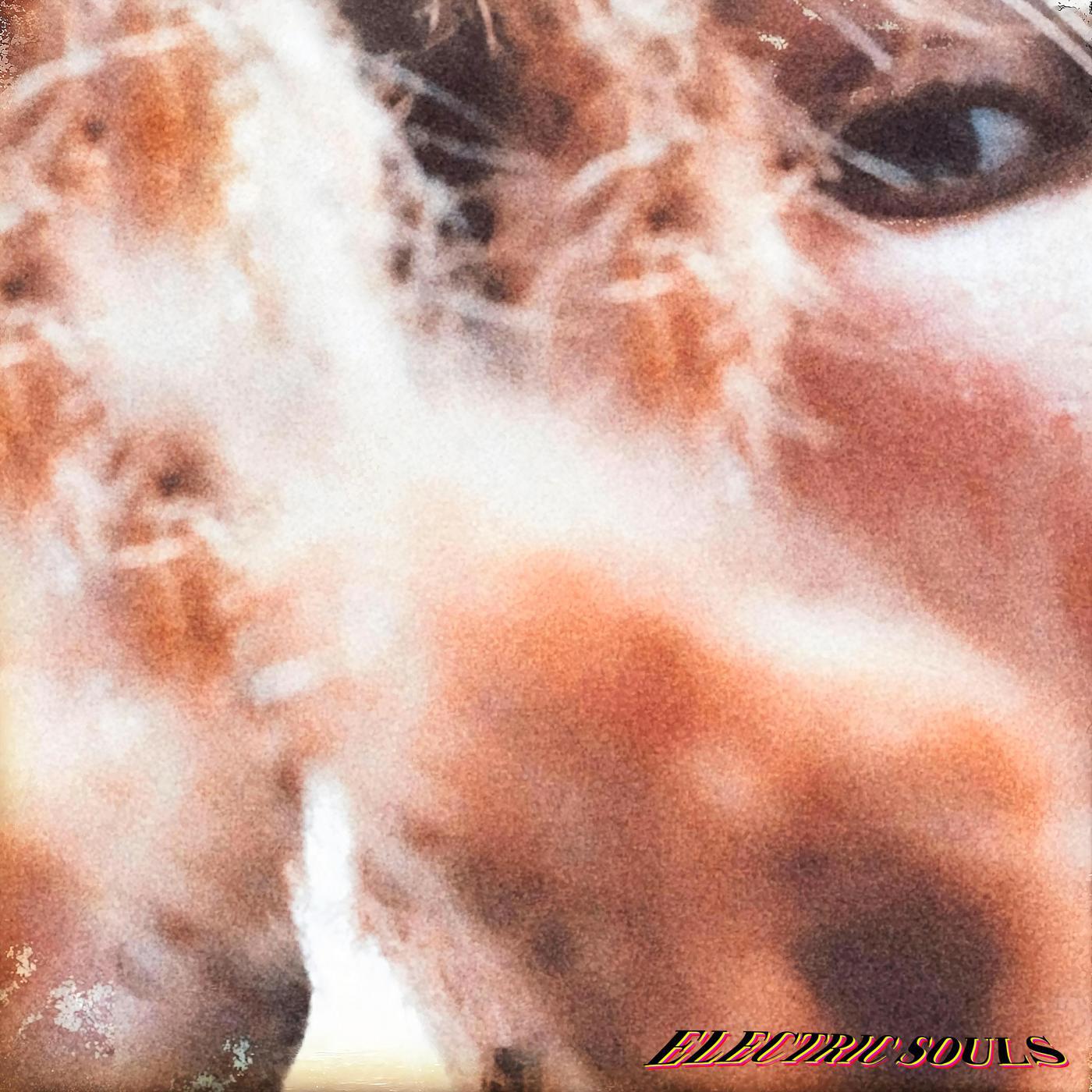 Релиз Electric Souls