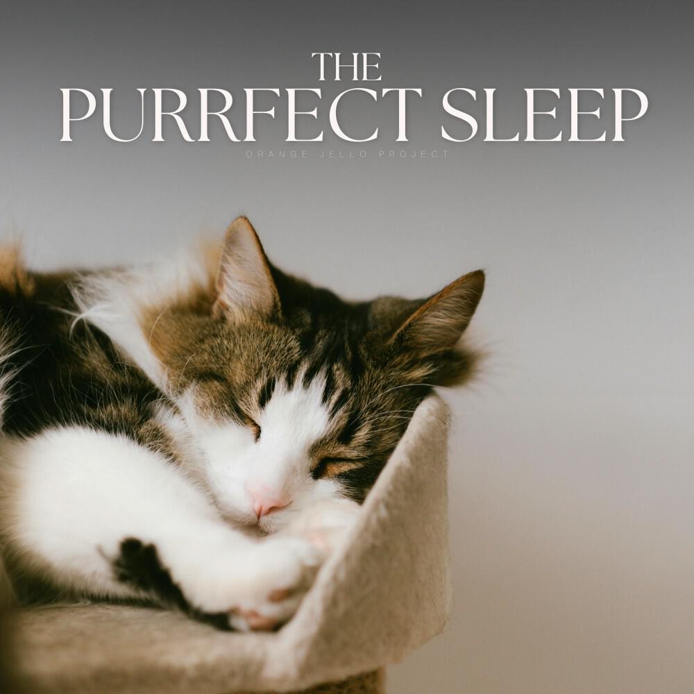 Релиз The Purrfect Sleep
