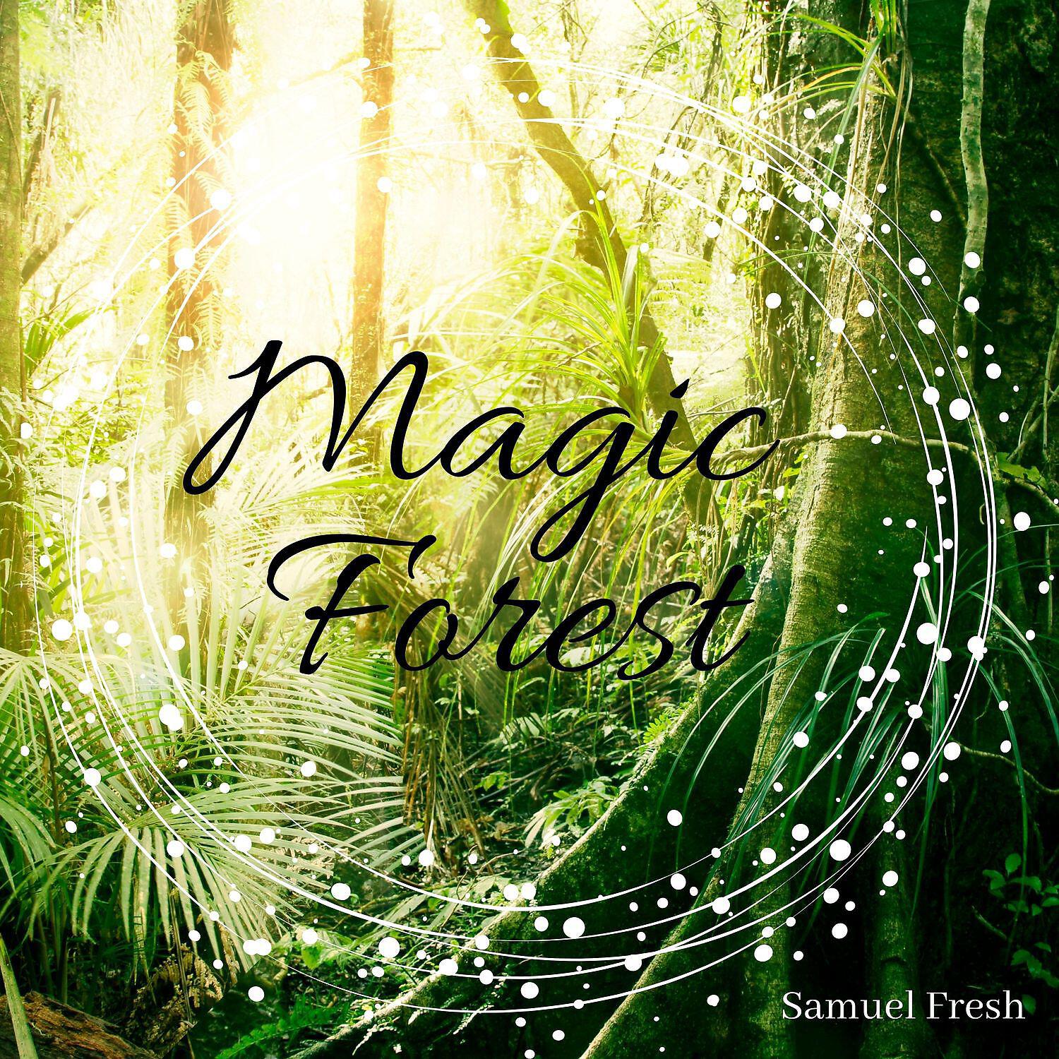Релиз Magic Forest: Relaxation & Meditation Audio
