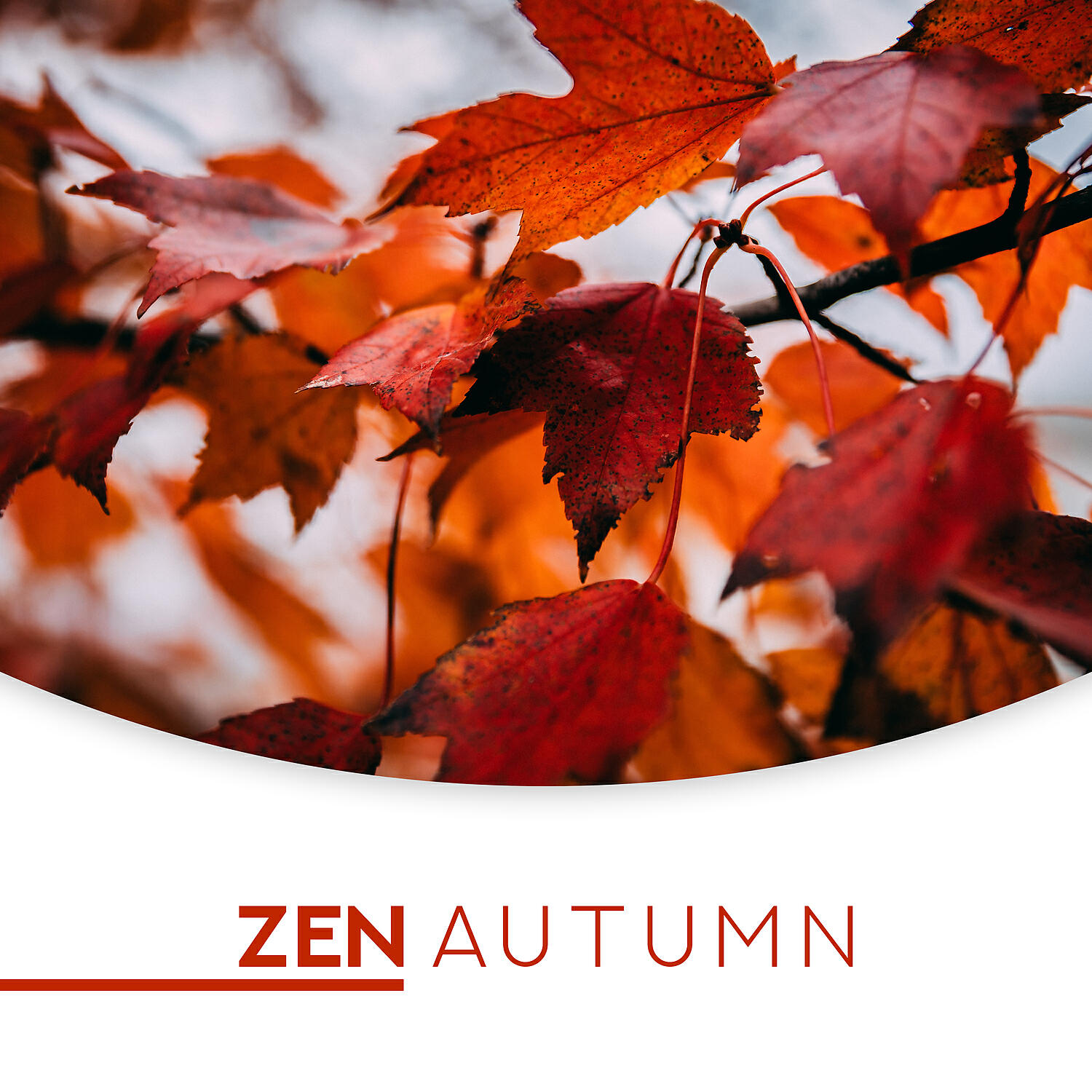 Релиз Zen Autumn: Perfect Relaxation to Start Autumn Slowly, Meditate in Autumn