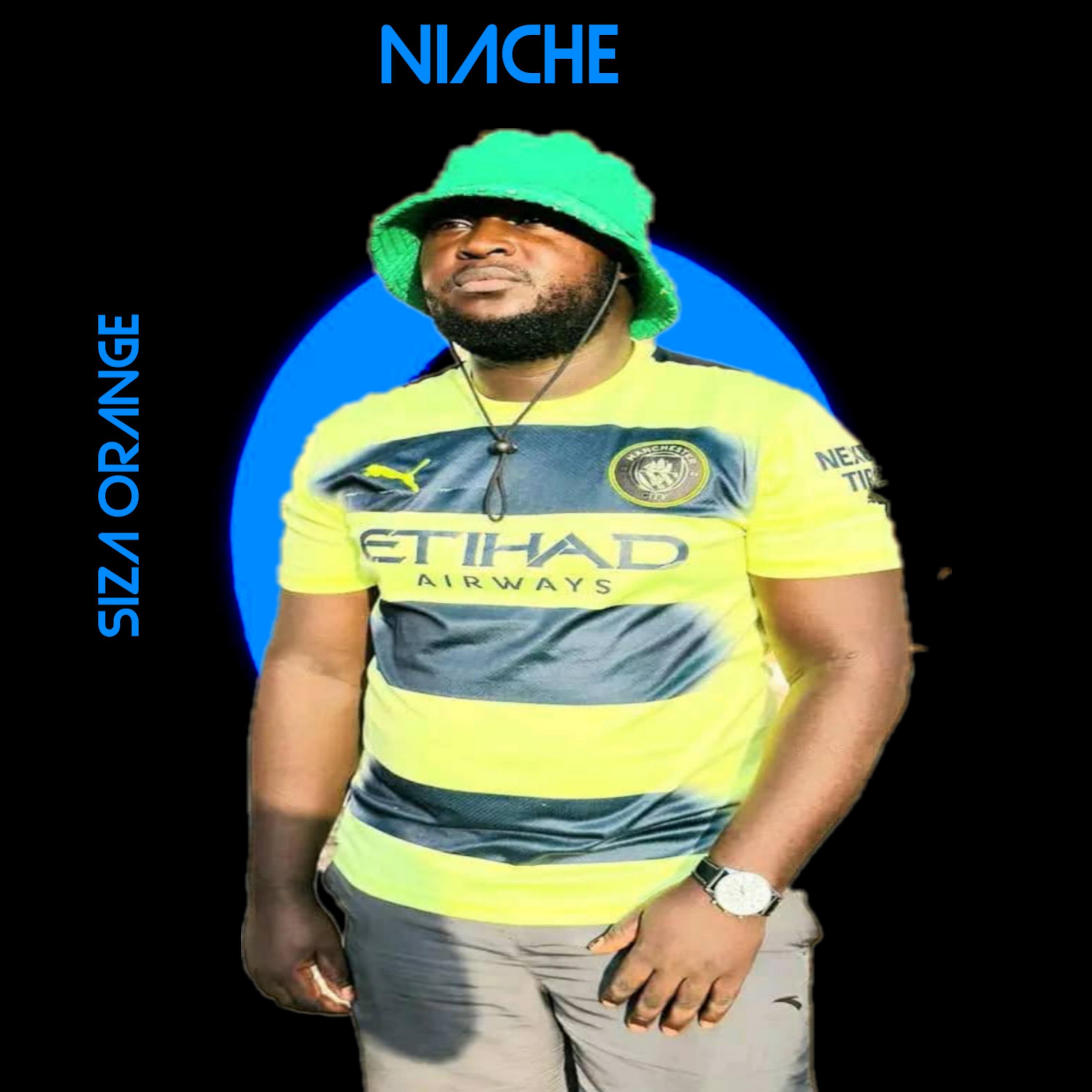 Релиз Niache