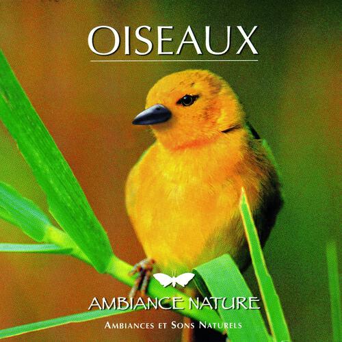 Релиз Ambiance Nature Oiseaux