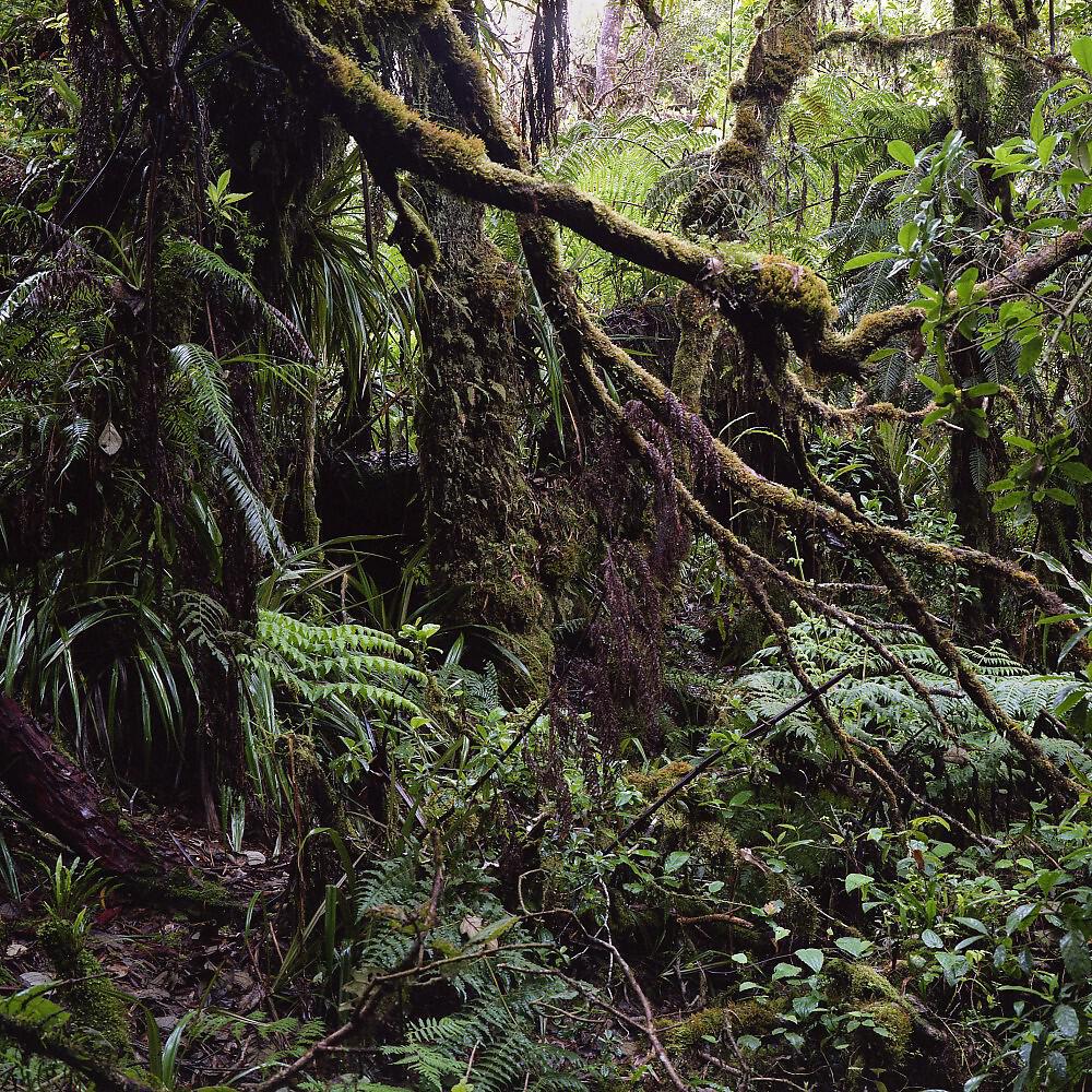 Релиз Small Talk