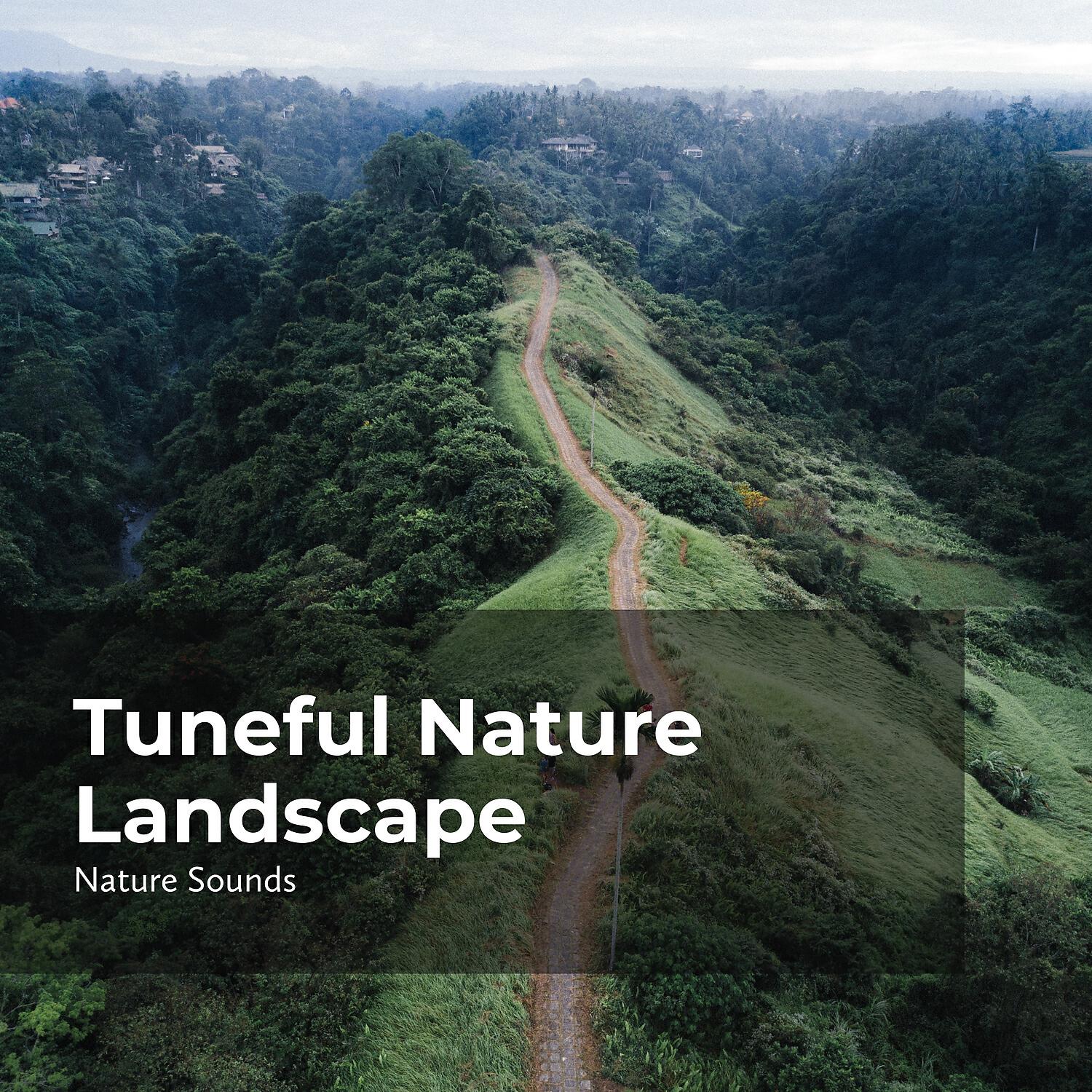 Релиз Tuneful Nature Landscape