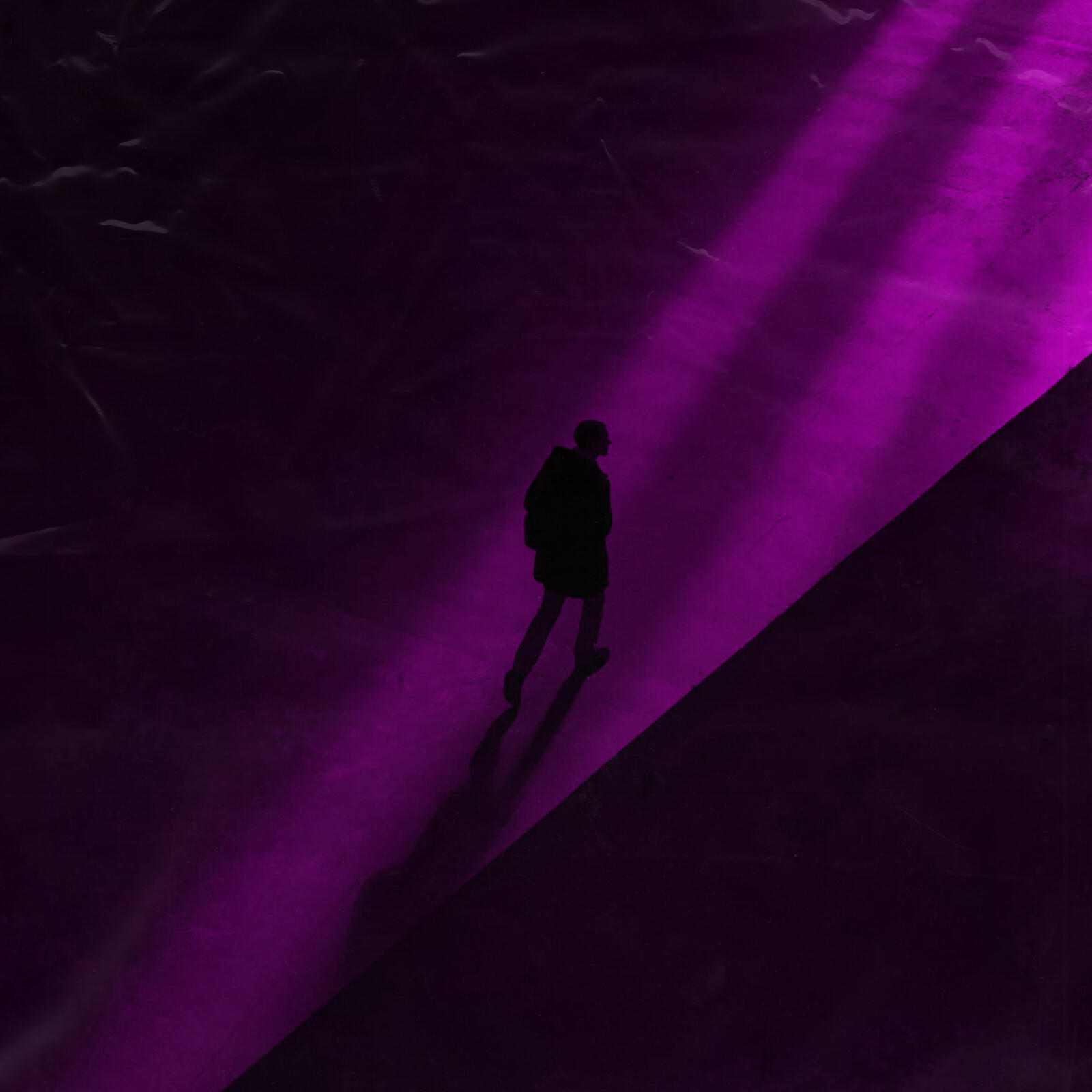 Релиз Night City
