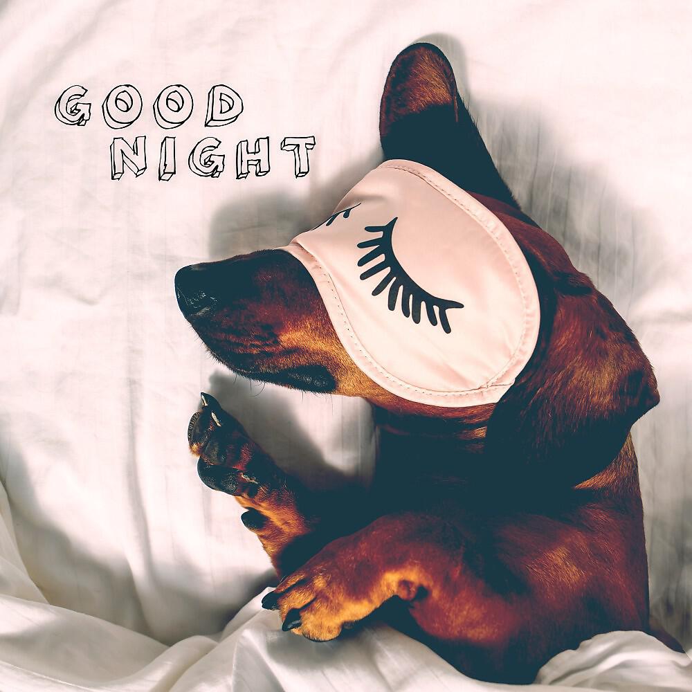Релиз Entspannungs und Einschlafgeräusche (Sleep Sounds)