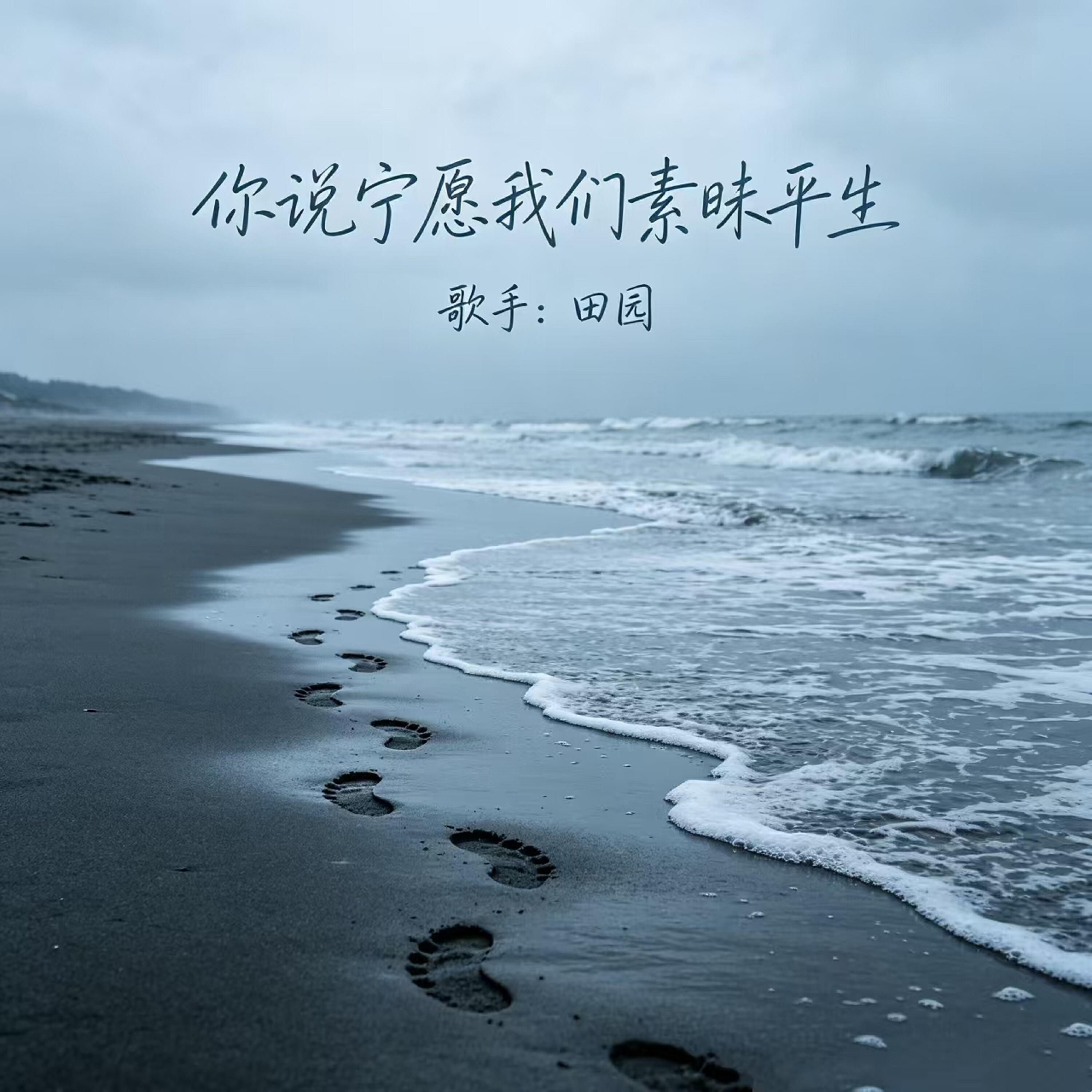 Релиз 你说宁愿我们素昧平生