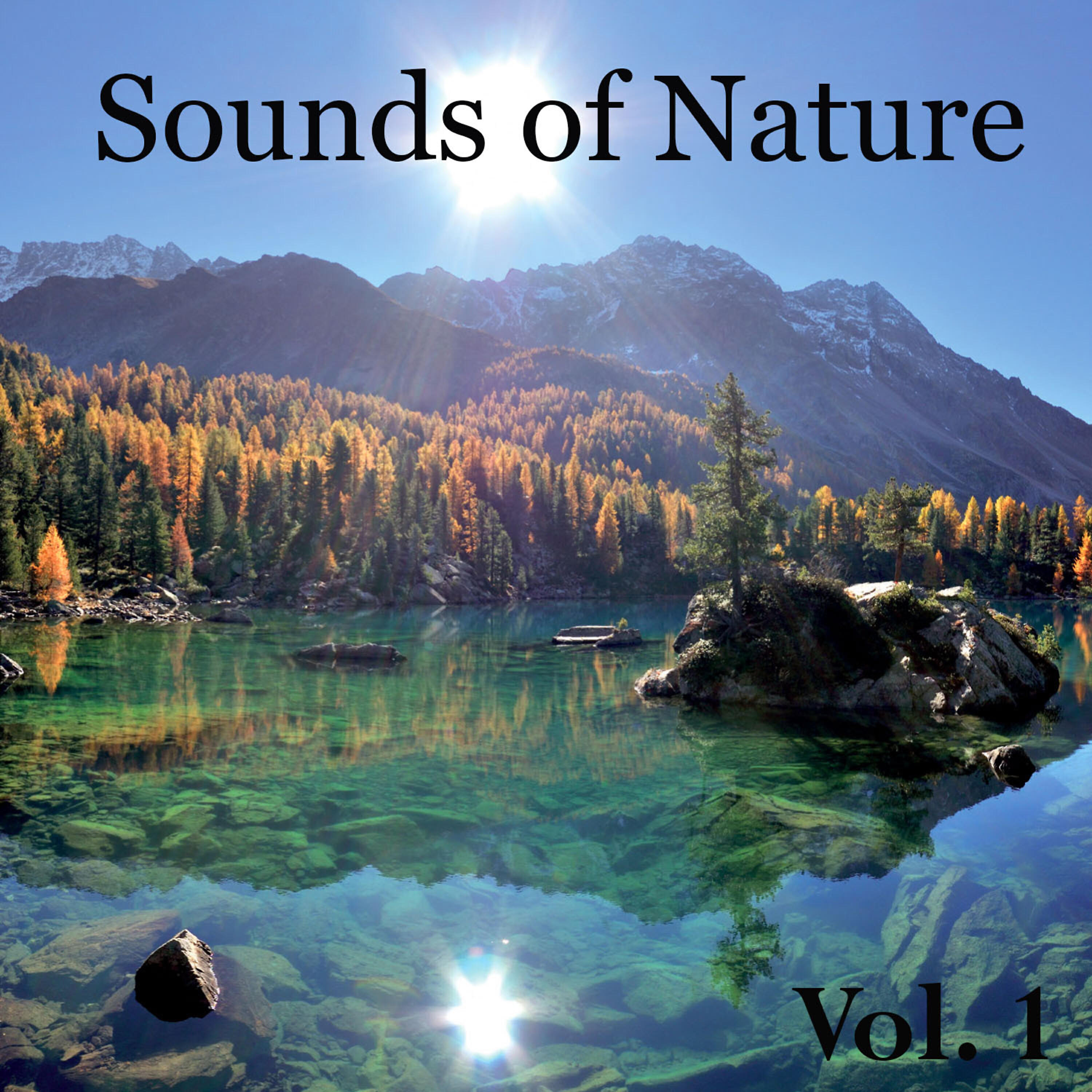 Релиз Sounds of Nature, Vol. 1