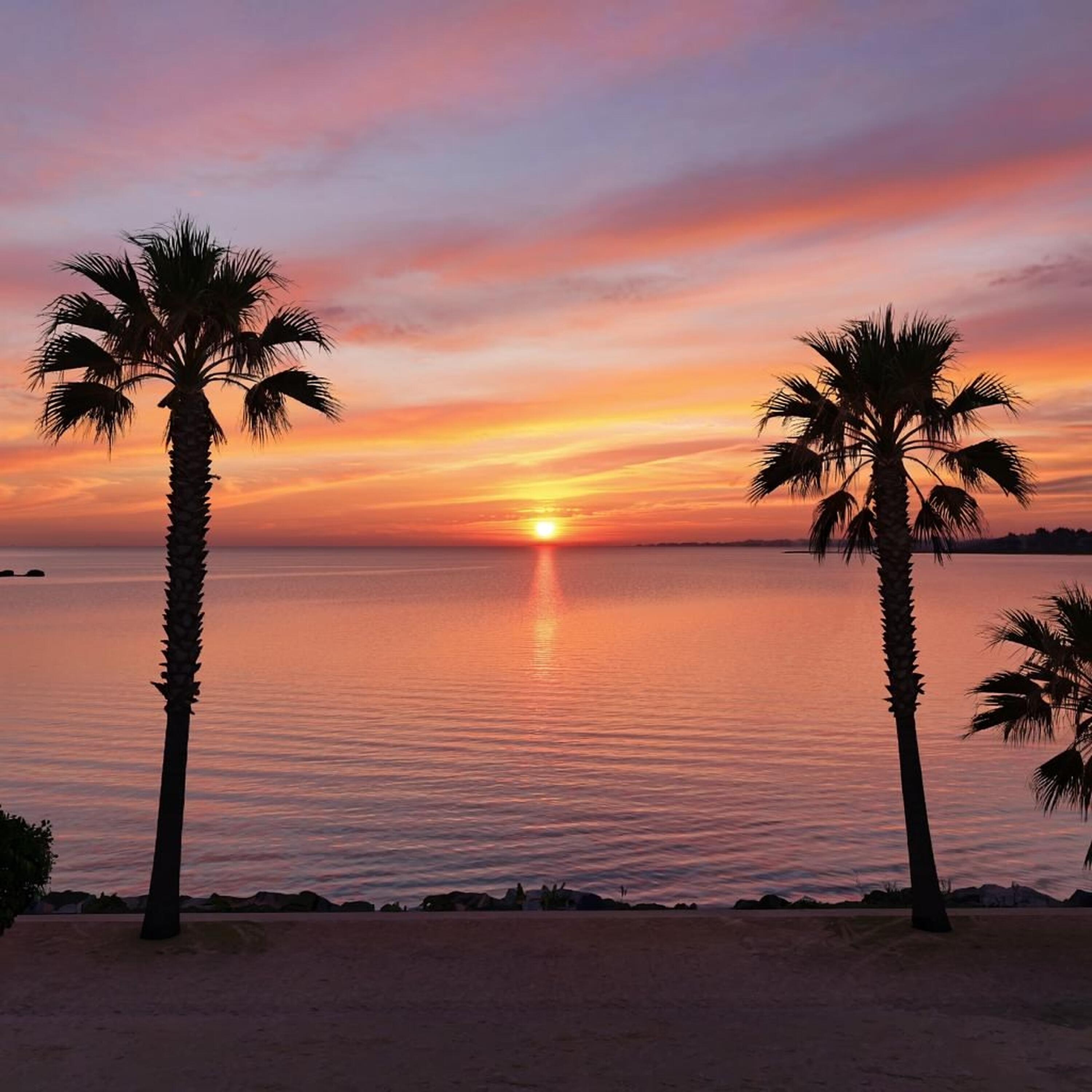 Релиз Sunset