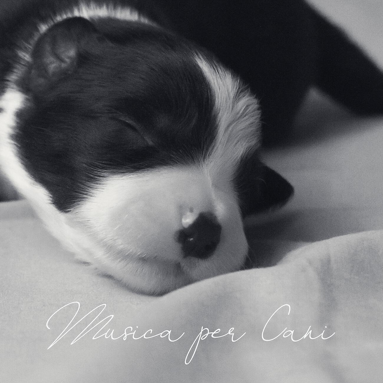 Релиз Musica per Cani - Suoni Rilassanti per i vostri Animali Domestici