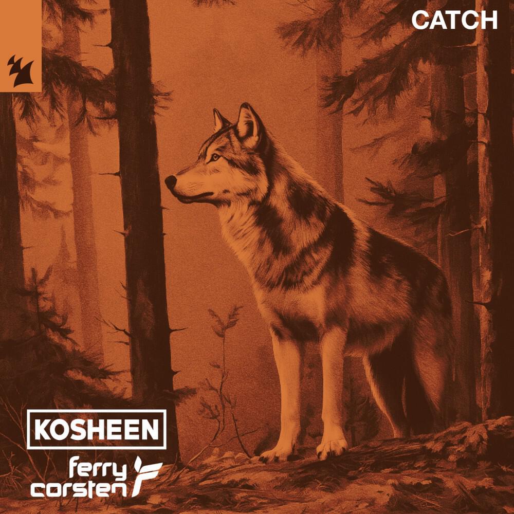 Релиз Catch