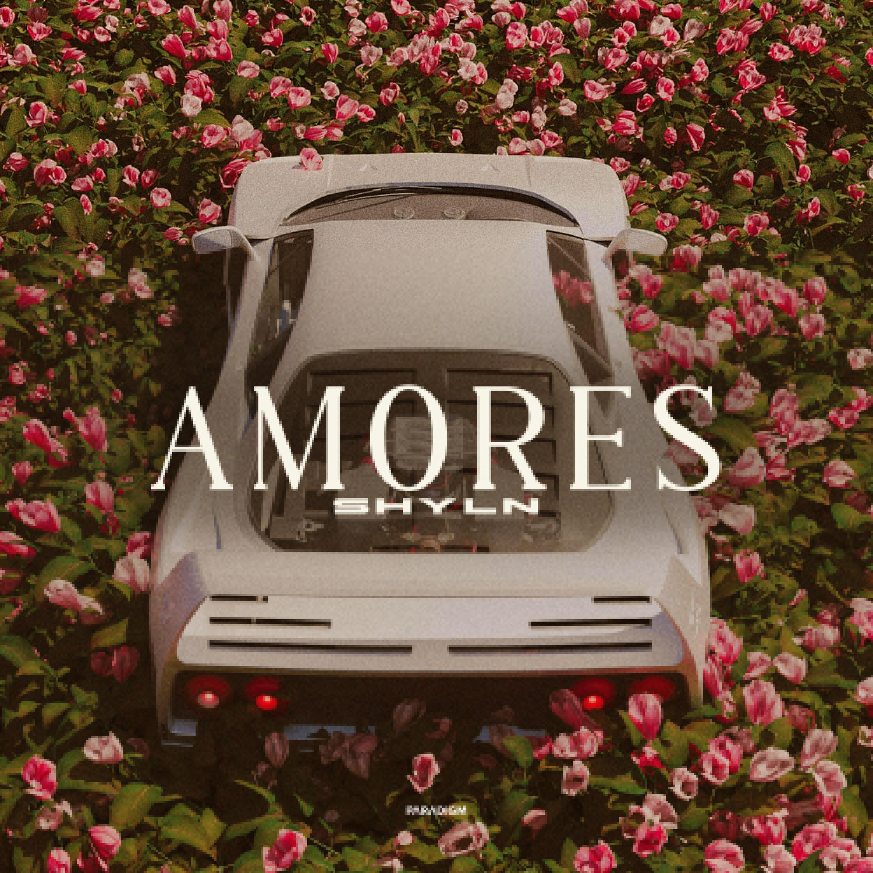 Релиз Amores