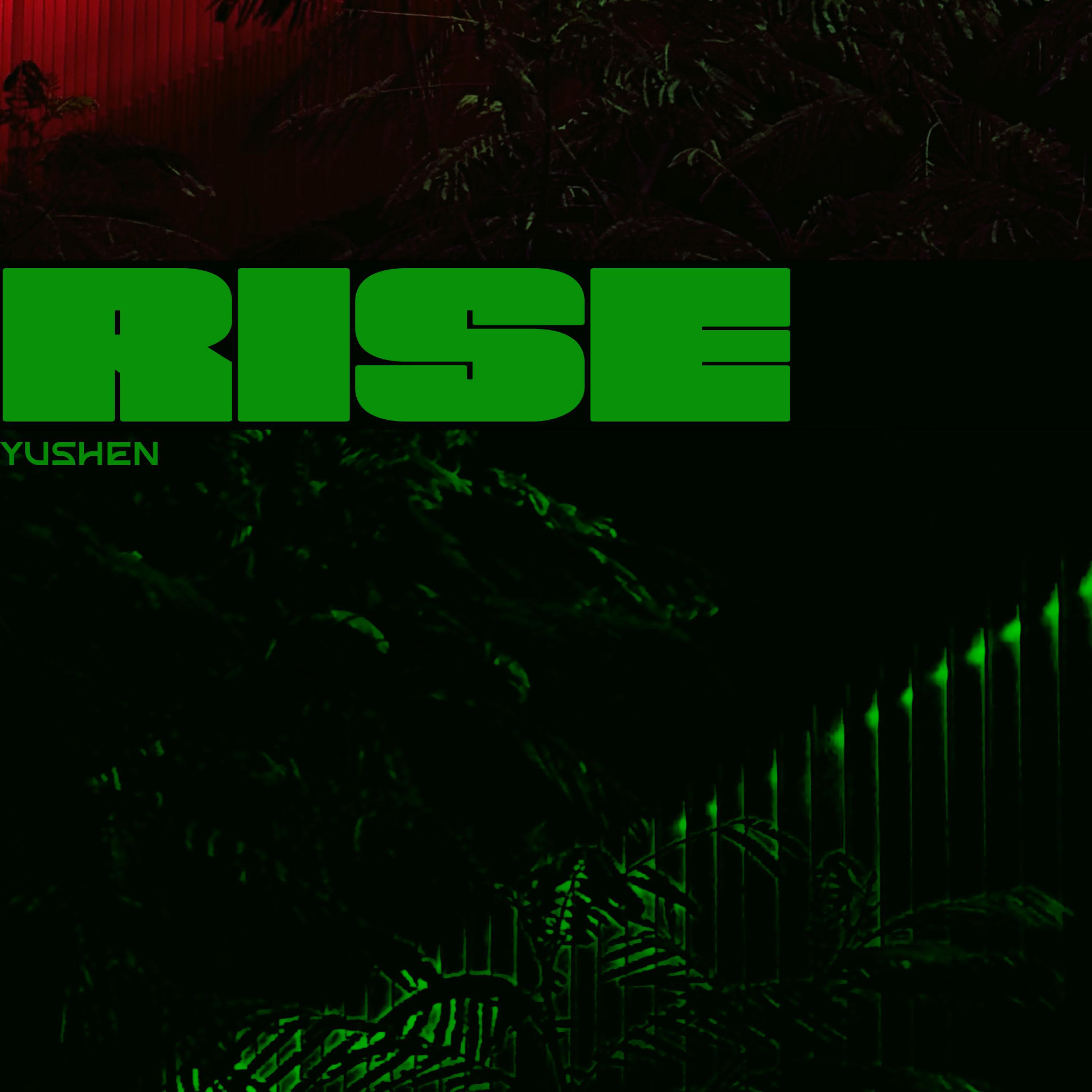 Релиз Rise