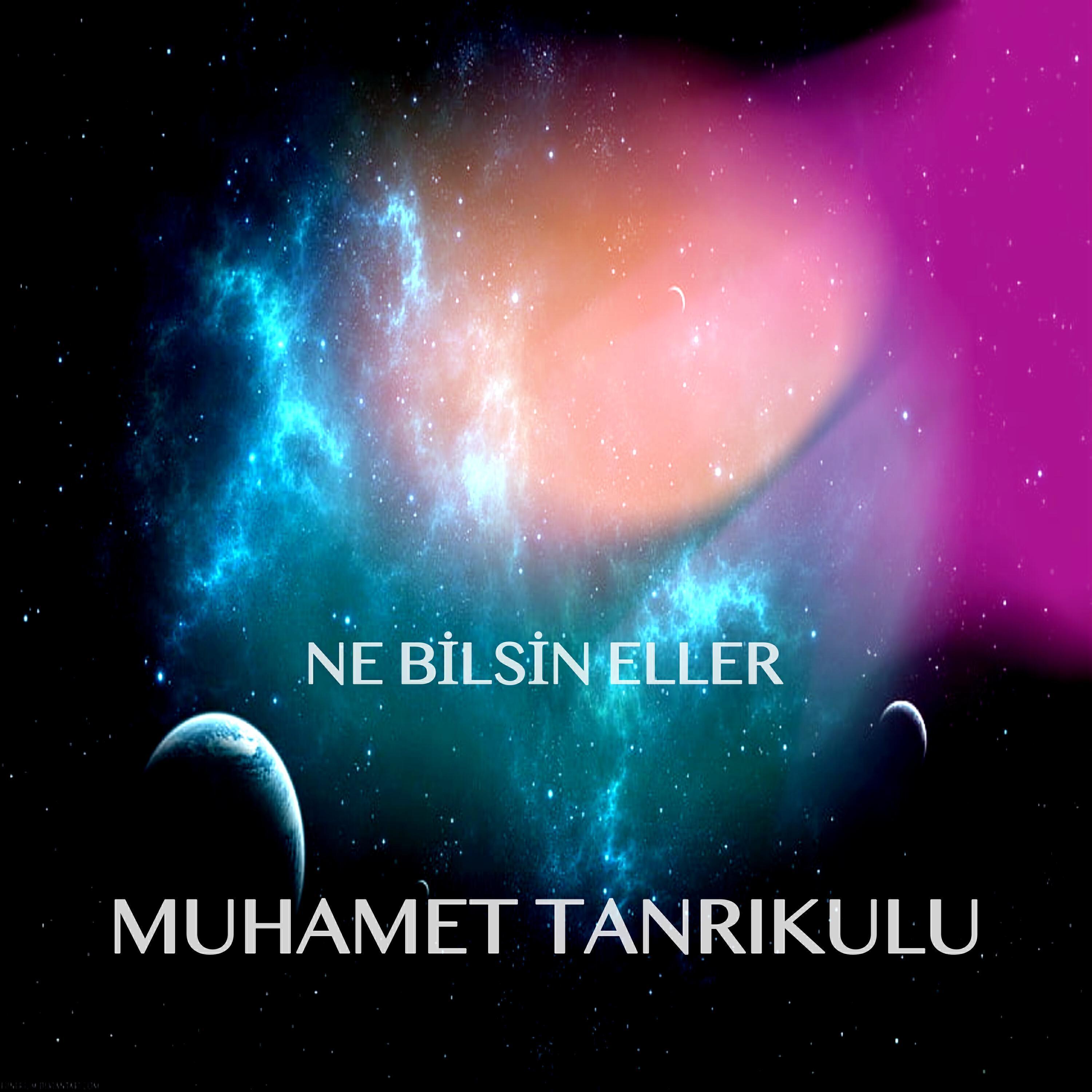 Muhammet Tanrıkulu