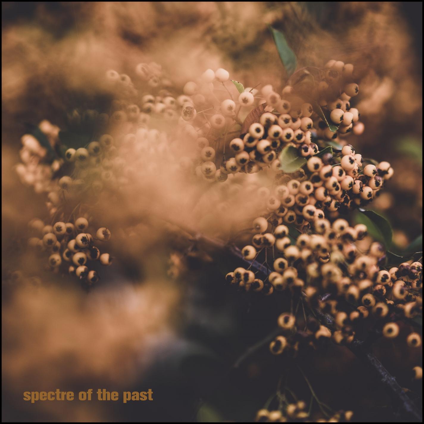 Релиз Spectre of the Past ep