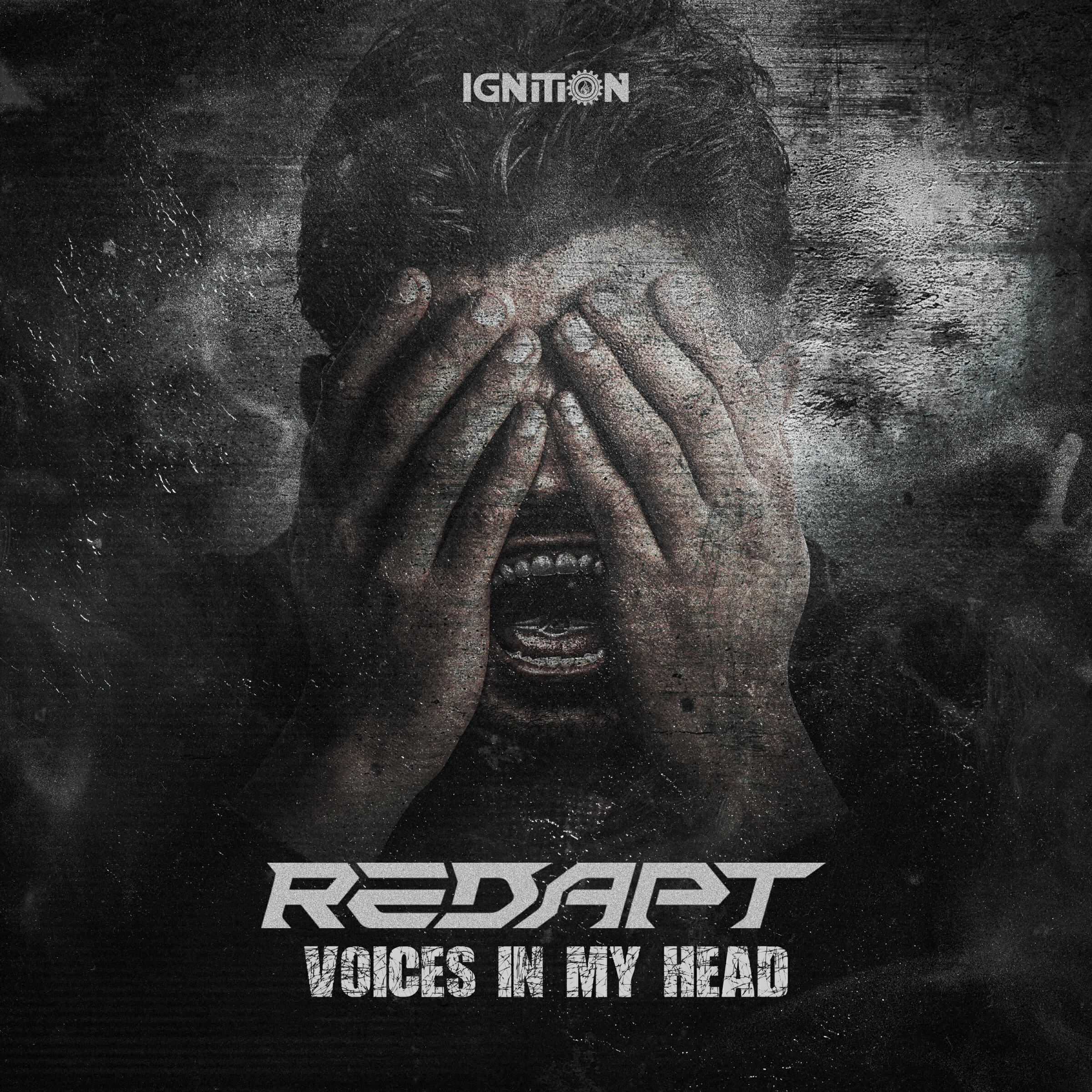 Релиз VOICES IN MY HEAD