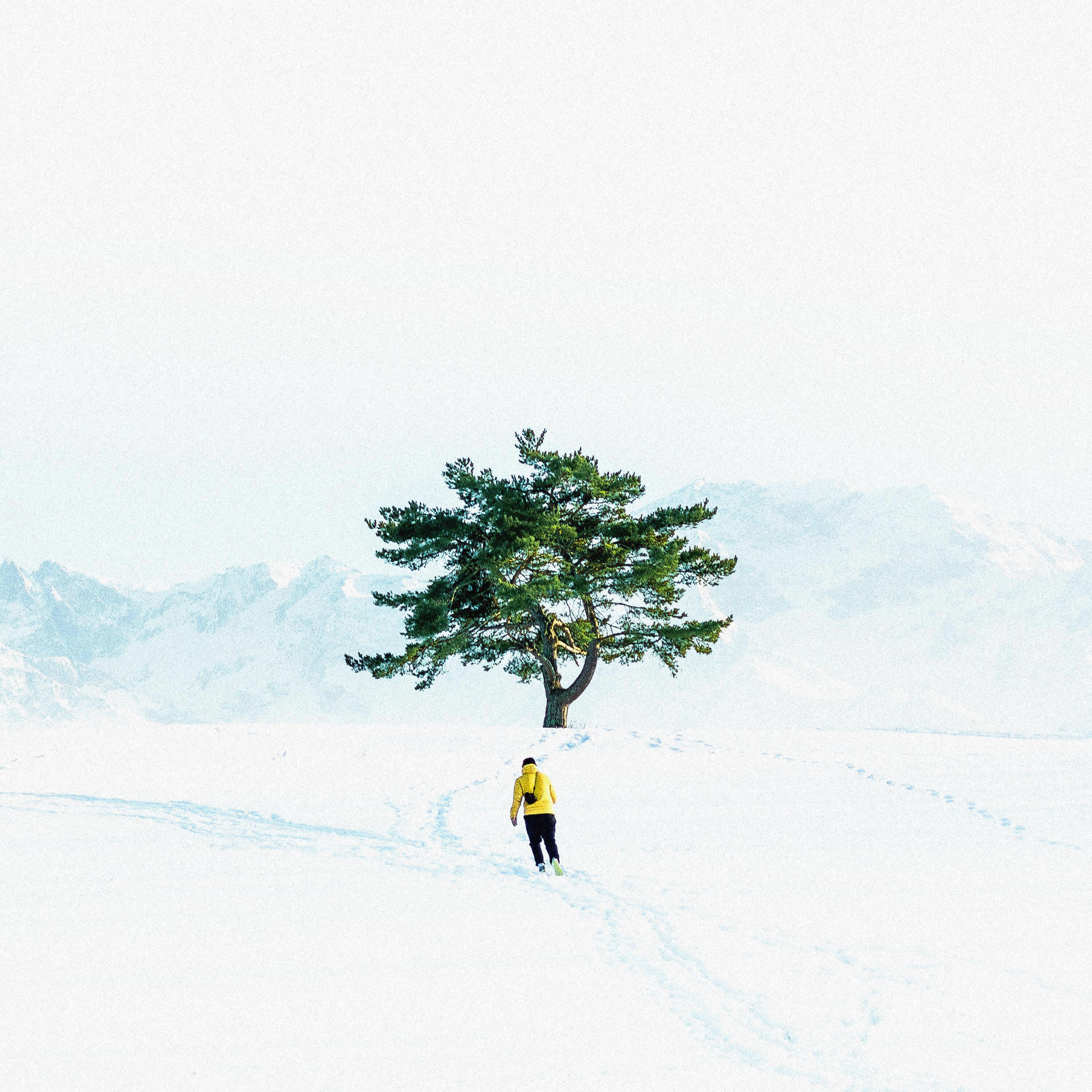 Релиз inner game