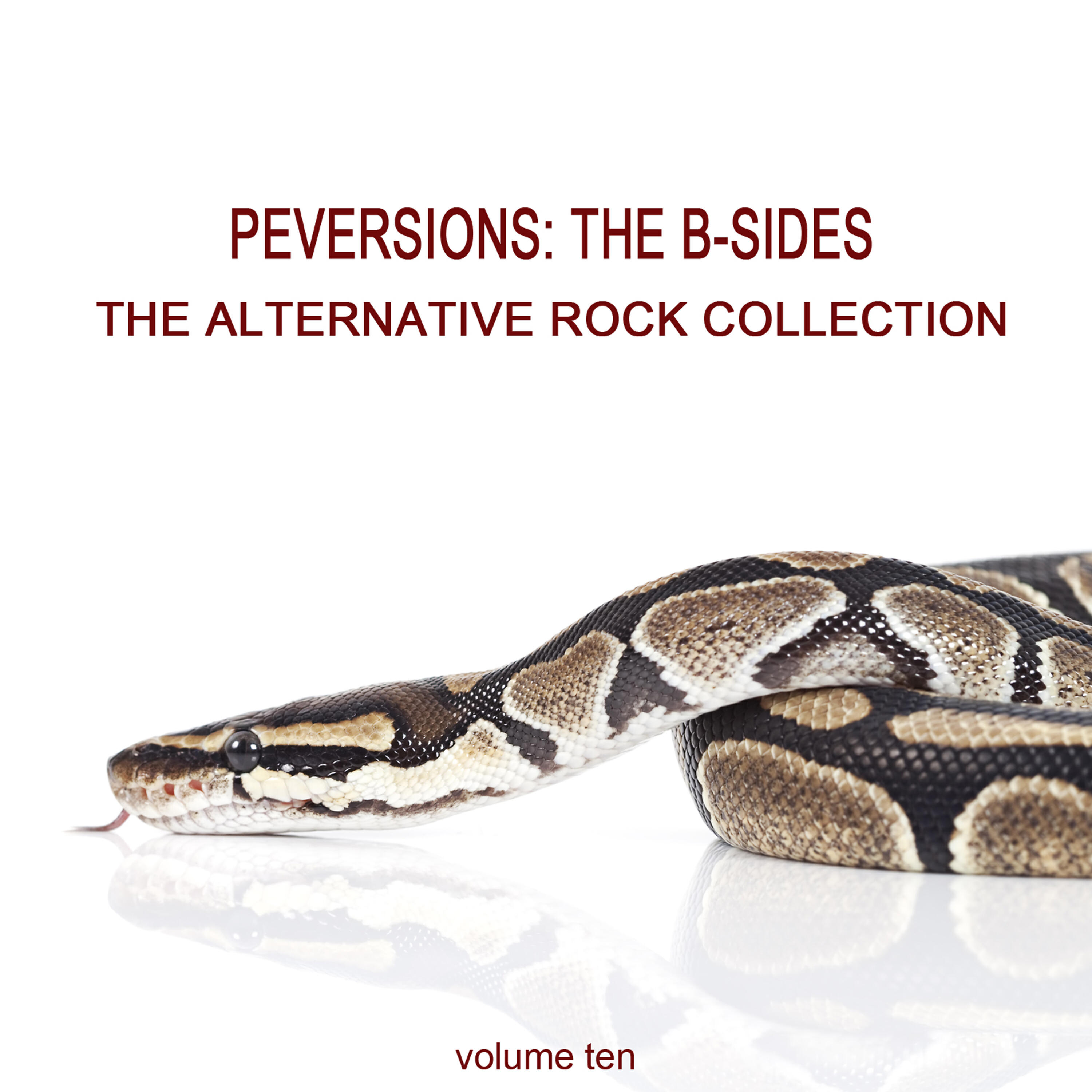 Релиз Perversions, The B-Sides: The Alternative Rock Collection Vol. 10